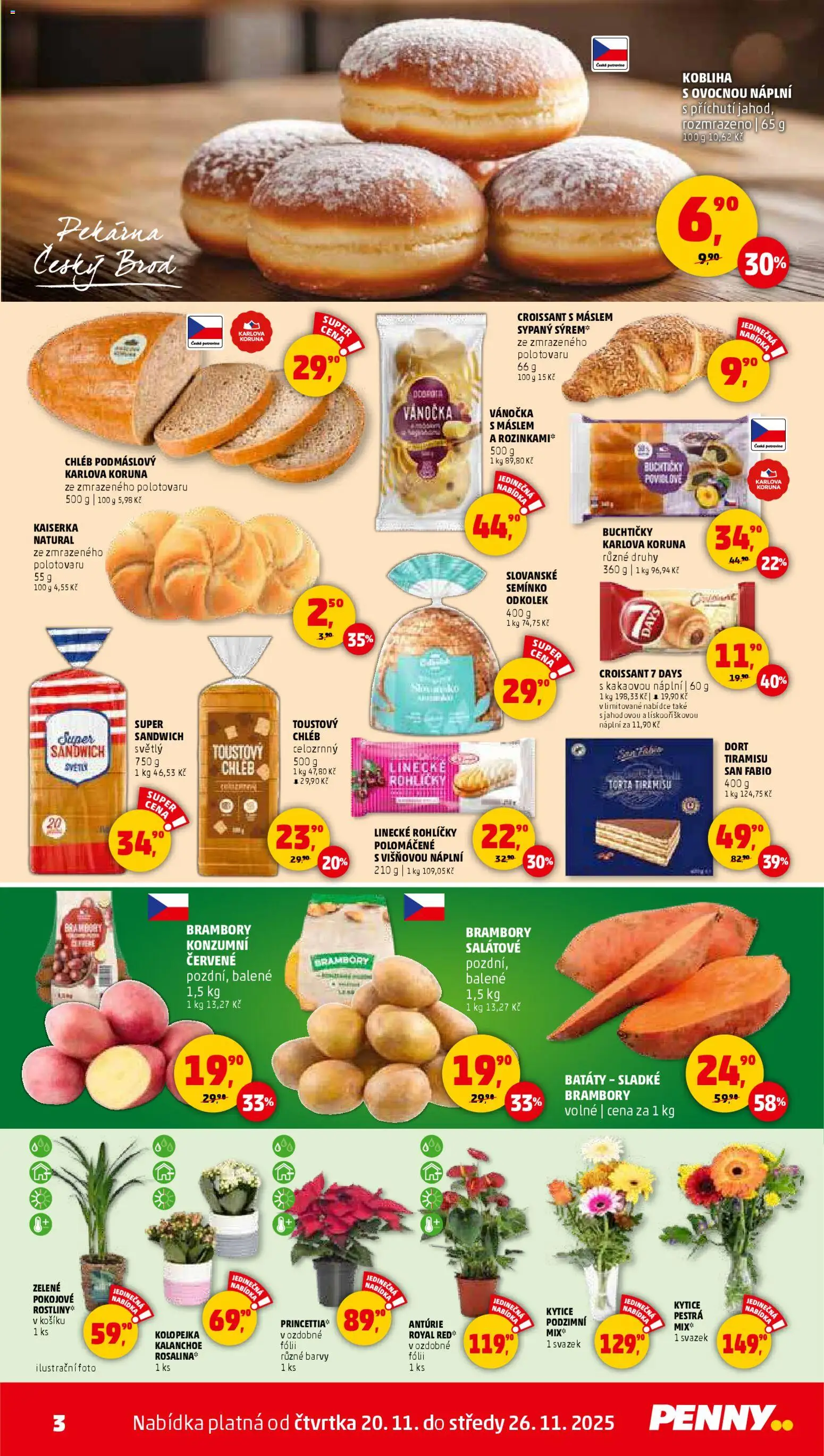 Penny Market leták - Čtvrtečník od 20.11.2025 | Strana: 3 | Produkty: Kalanchoe, Kaiserka, Kolo, Croissant