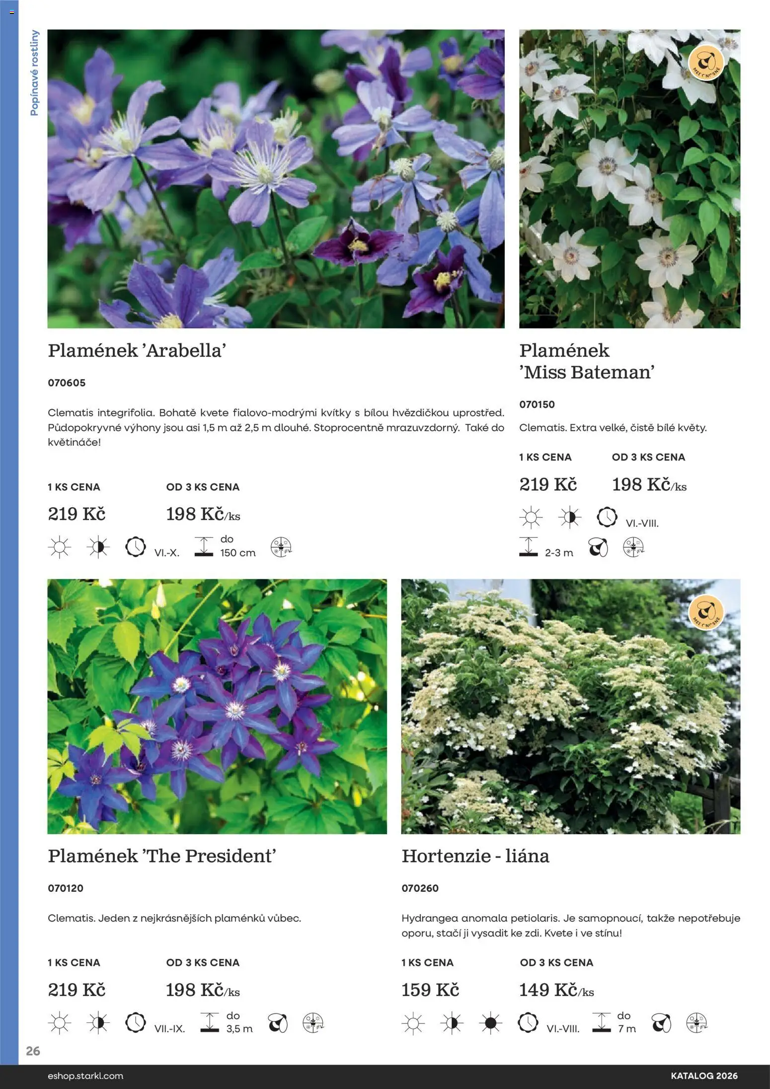 Starkl katalog od 25.02.2026 | Strana: 26 | Produkty: Květináče, Rostliny