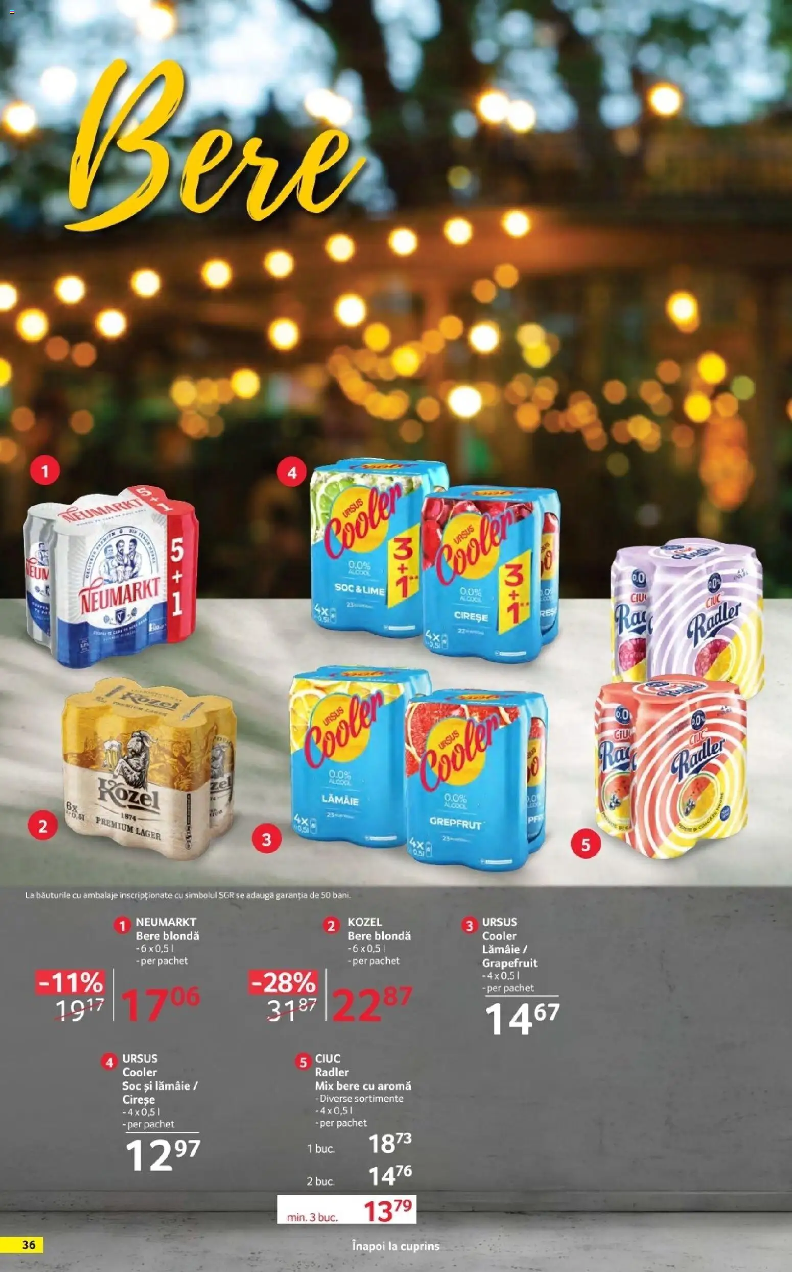 Noul catalog Selgros – valabil de la 17.04.2026 | Pagină: 36