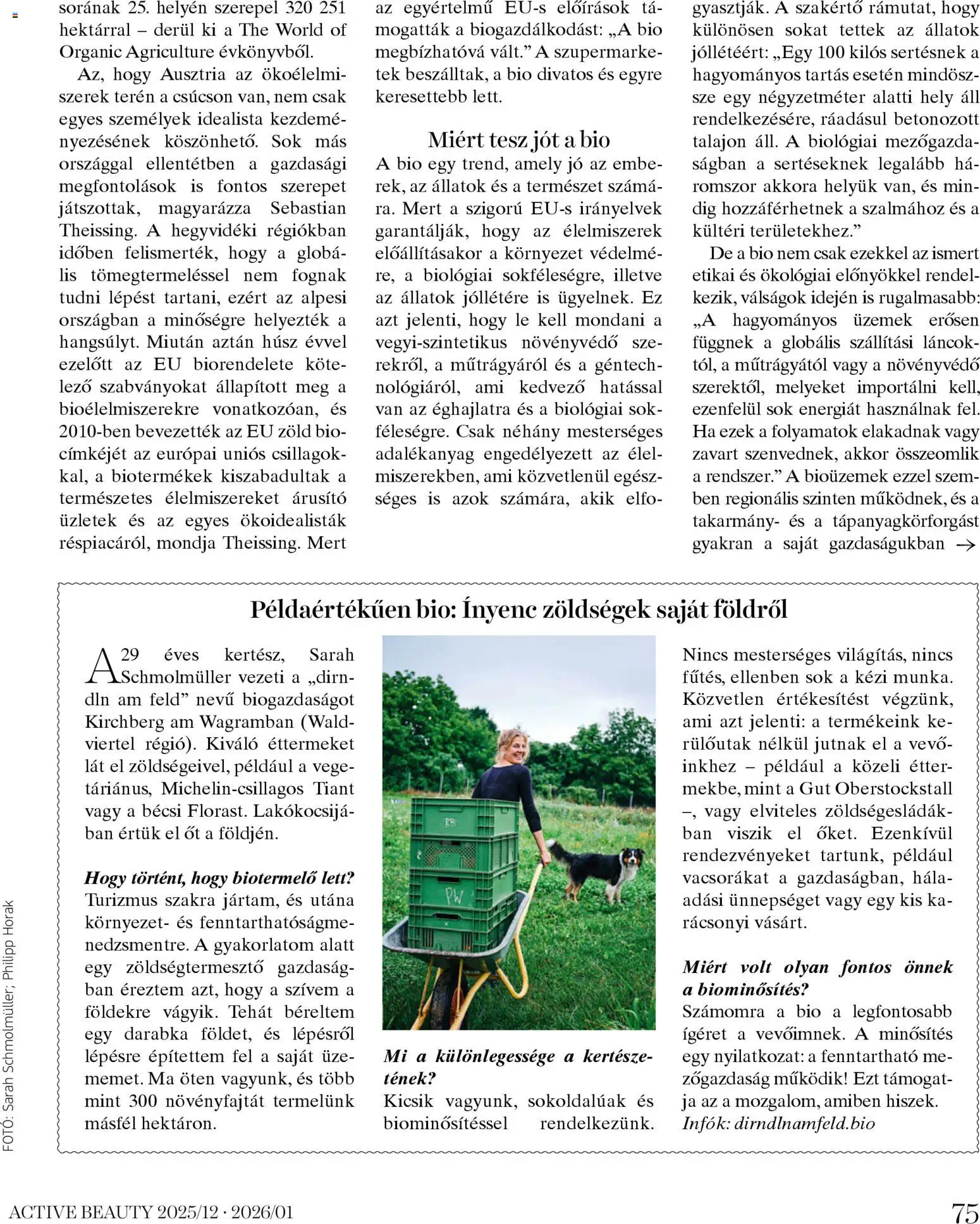 DM Drogerie Markt akciós ujság - amely érvényes a következő dátumtól: 18.12.2025 | Oldal: 75