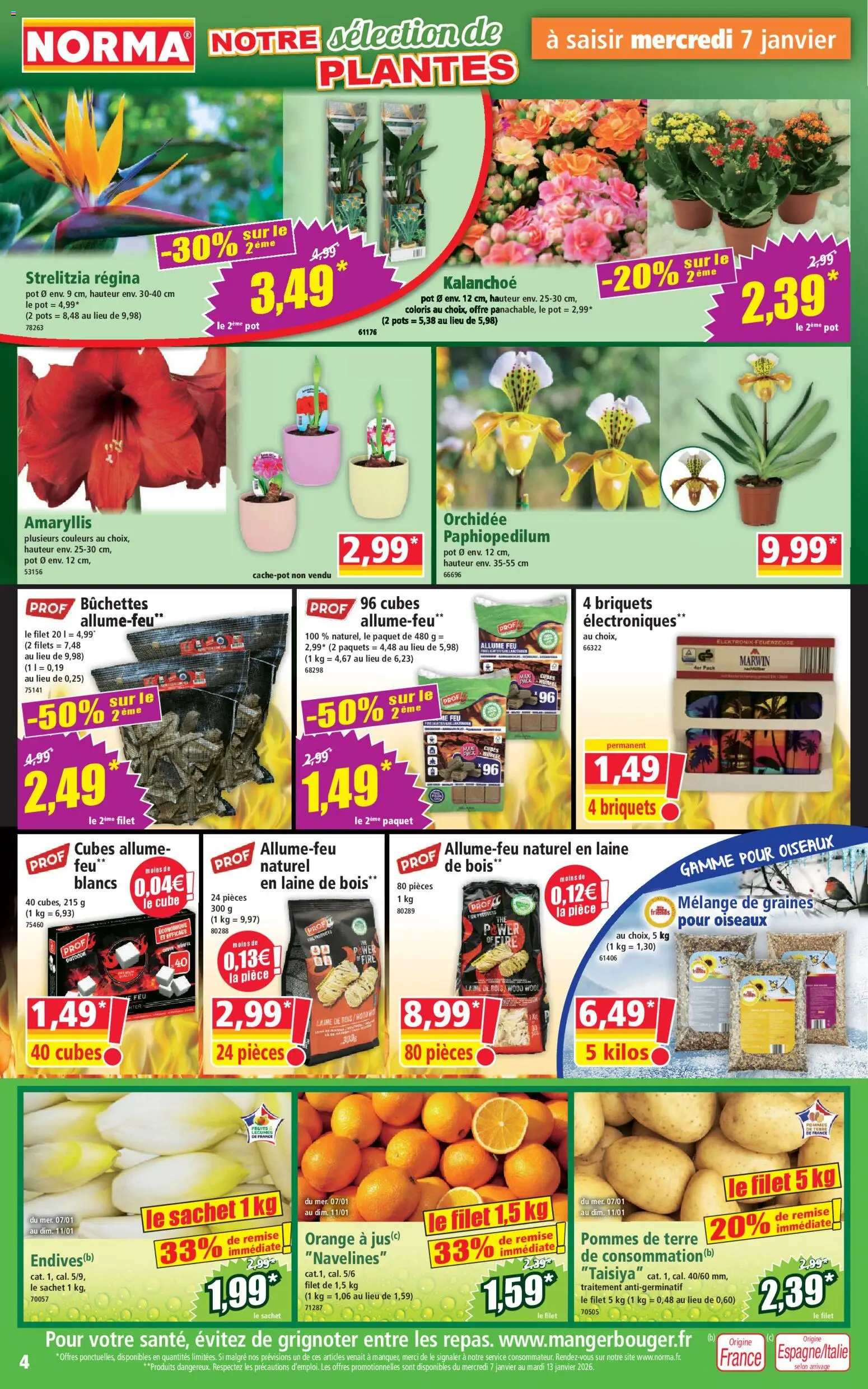 {H1} | Page: 4 | Produits: Allume feu, Plantes, Orchidée, Pommes de terre