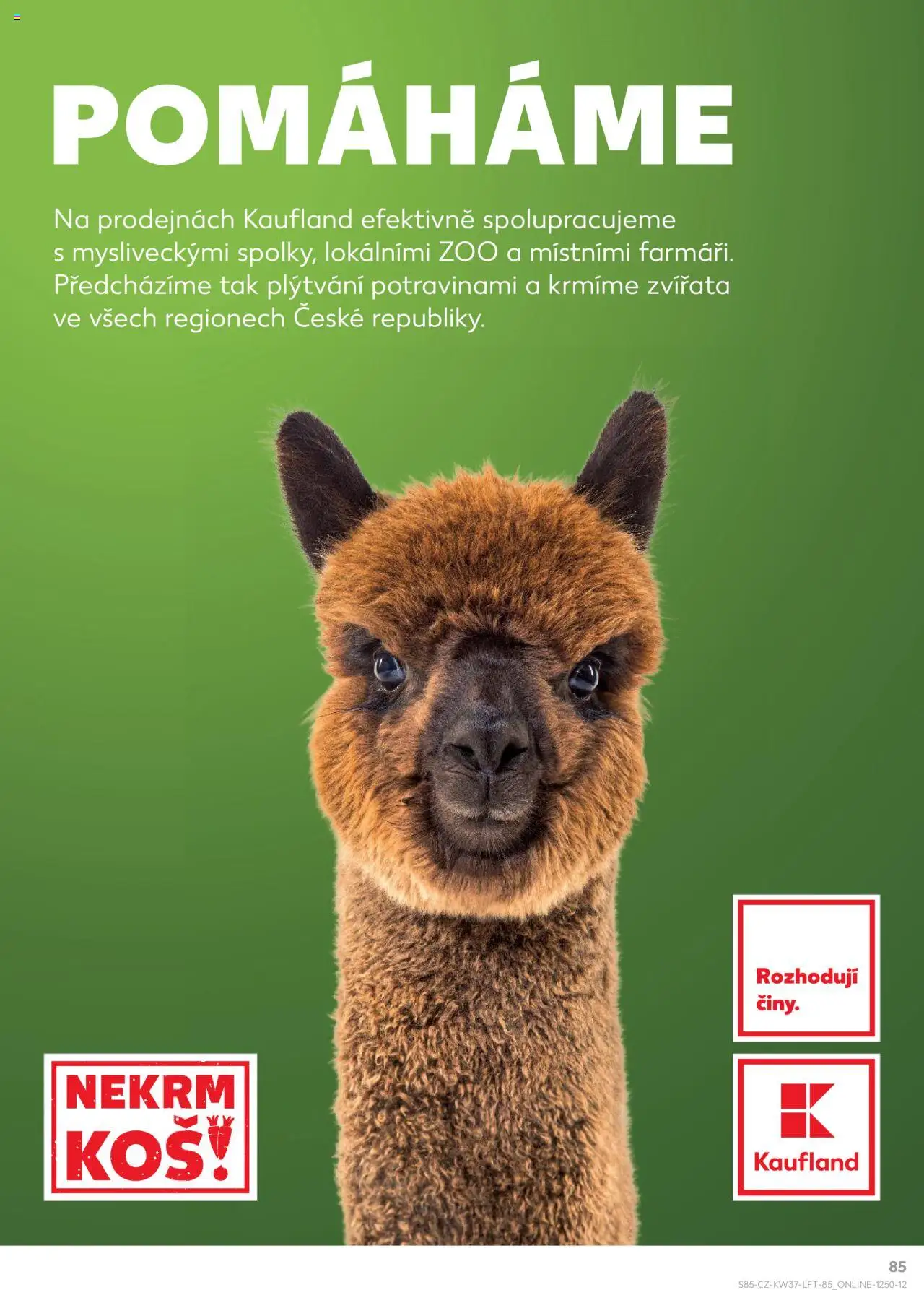 Kaufland leták - Liberec od 10.09.2025 | Strana: 85 | Produkty: Koš