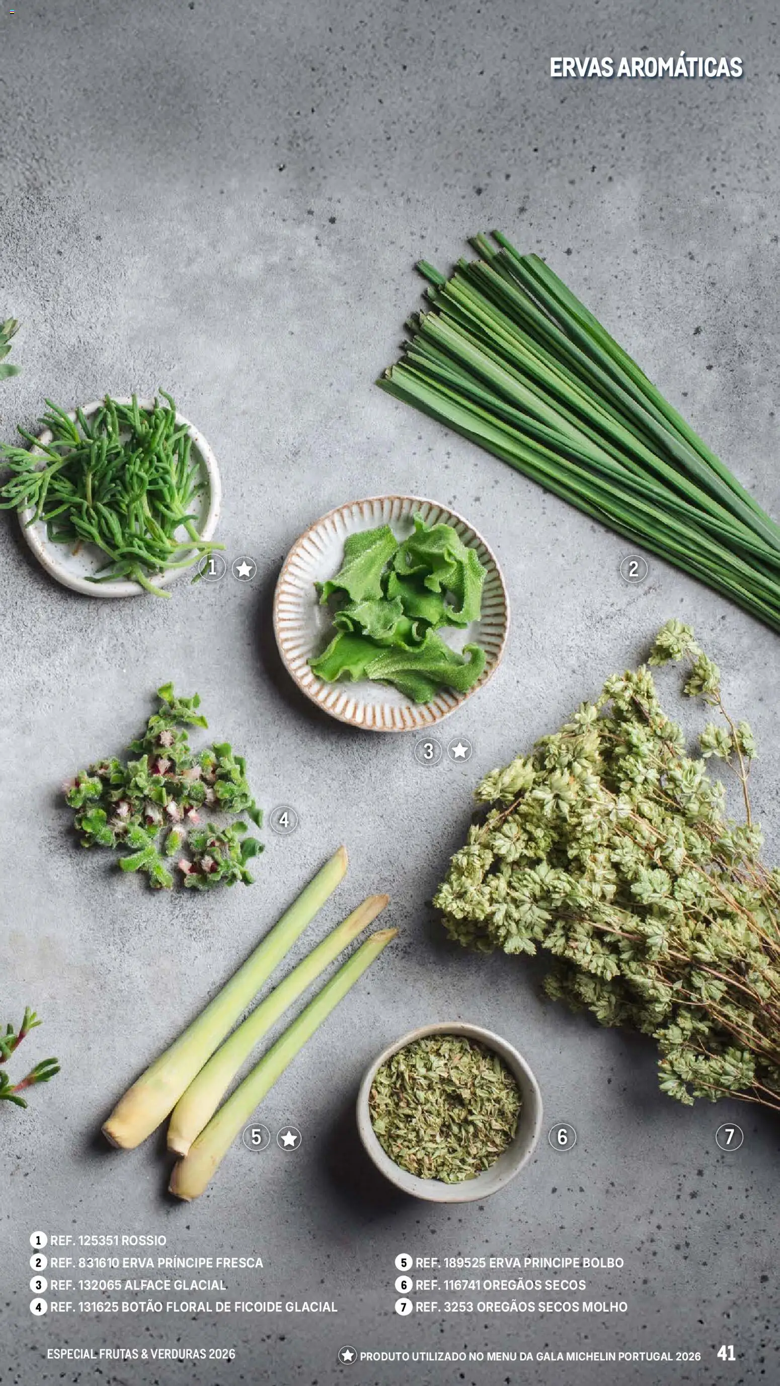 Makro Especial Frutas e Verduras 2026 │ válido de 06.03.2026 | Página: 41 | Produtos: Orégãos, Alface