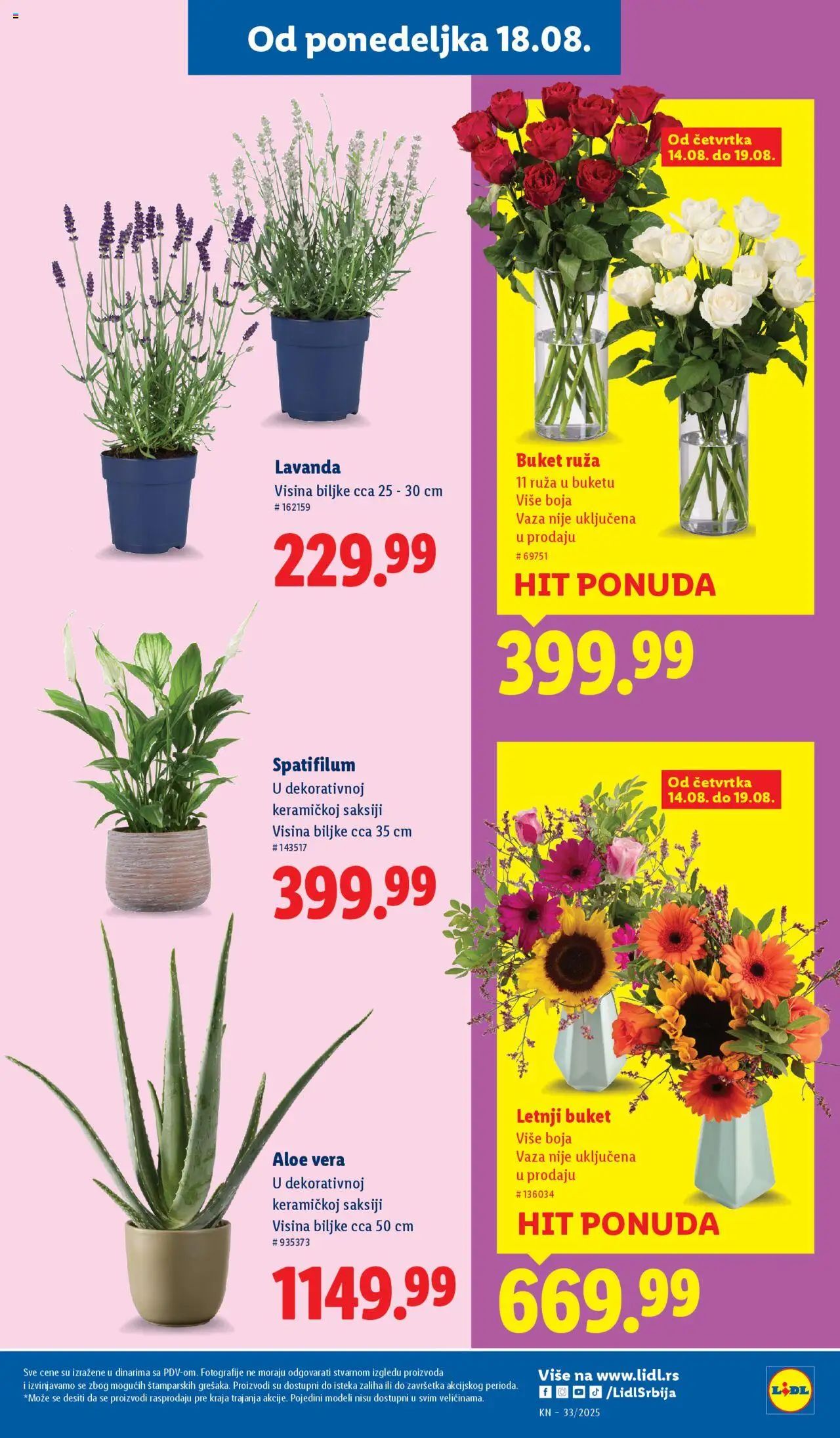 Lidl katalog - važi od 14.08.2025 | Strana: 43 | Proizvode: Vaza
