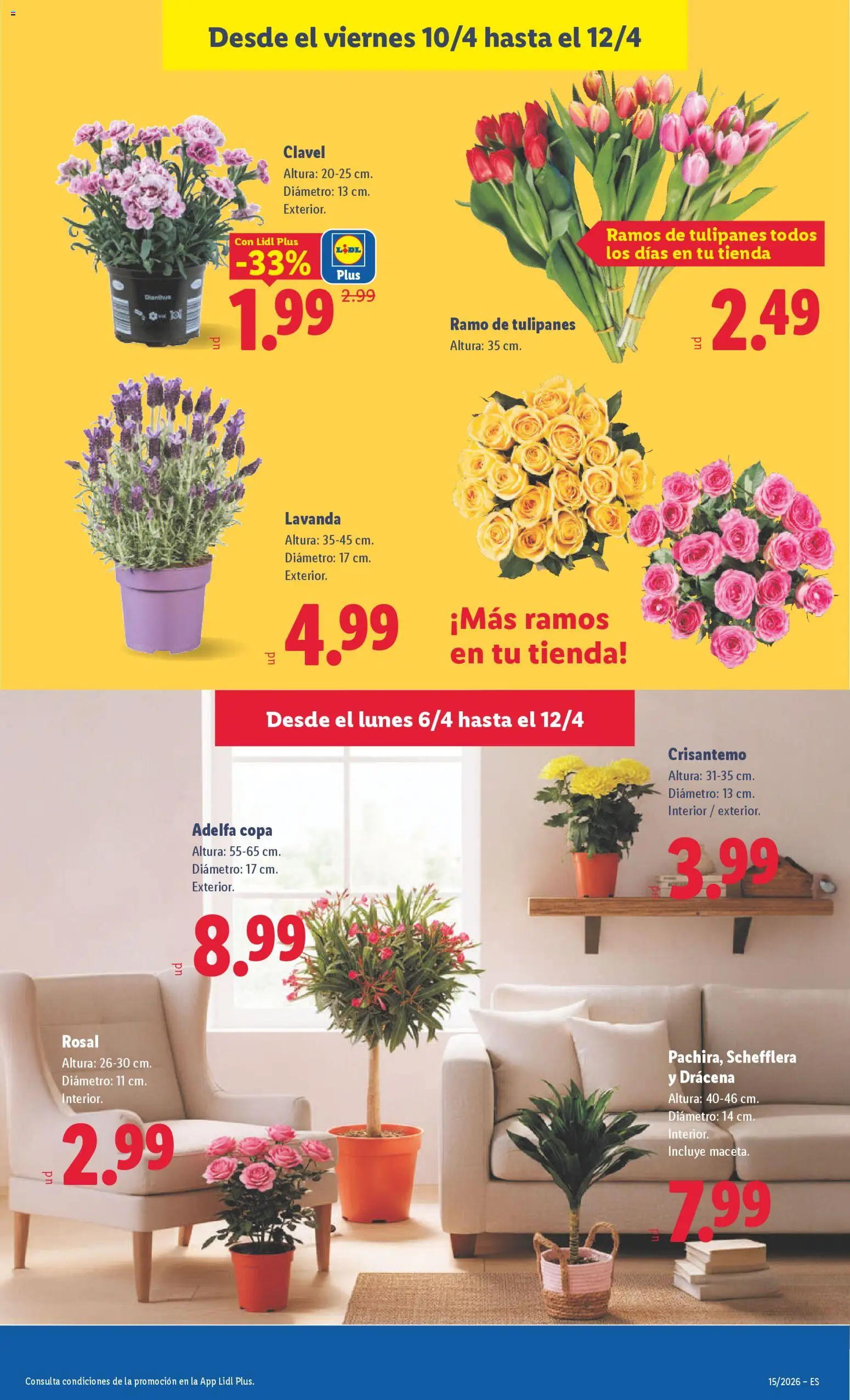 Lidl folleto │ válido desde el 06.04.2026 | Página: 57