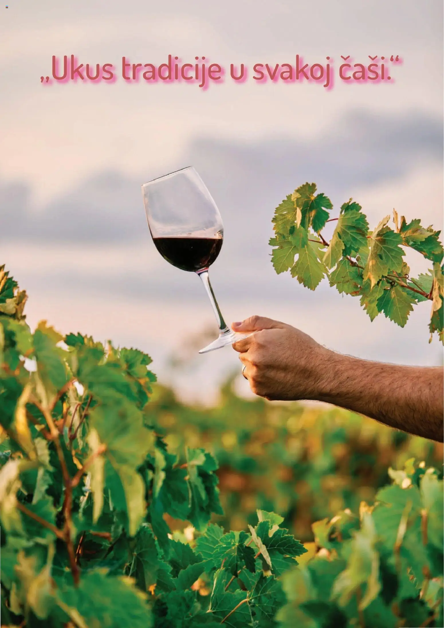 Aman katalog - važi od 05.01.2026 | Strana: 32