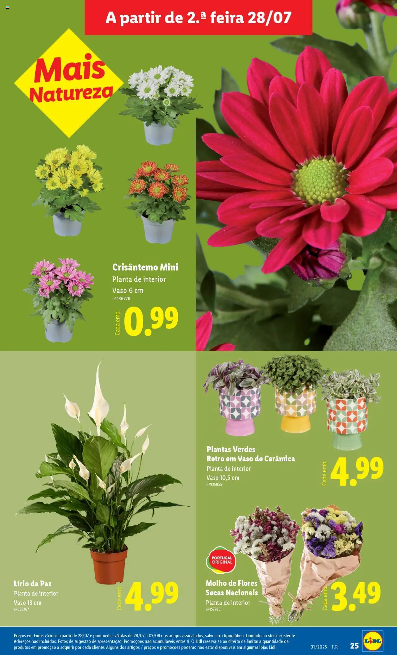 Lidl Novidades │ válido de 28.07.2025 | Página: 25 | Produtos: Flores, Vaso