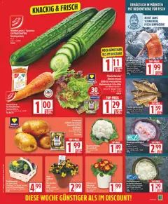 Edeka Prospekt 	 ab 23.02.2026 gültig | Seite: 3 | Produkte: Korb, Mohren, Fisch, Blumenkohl
