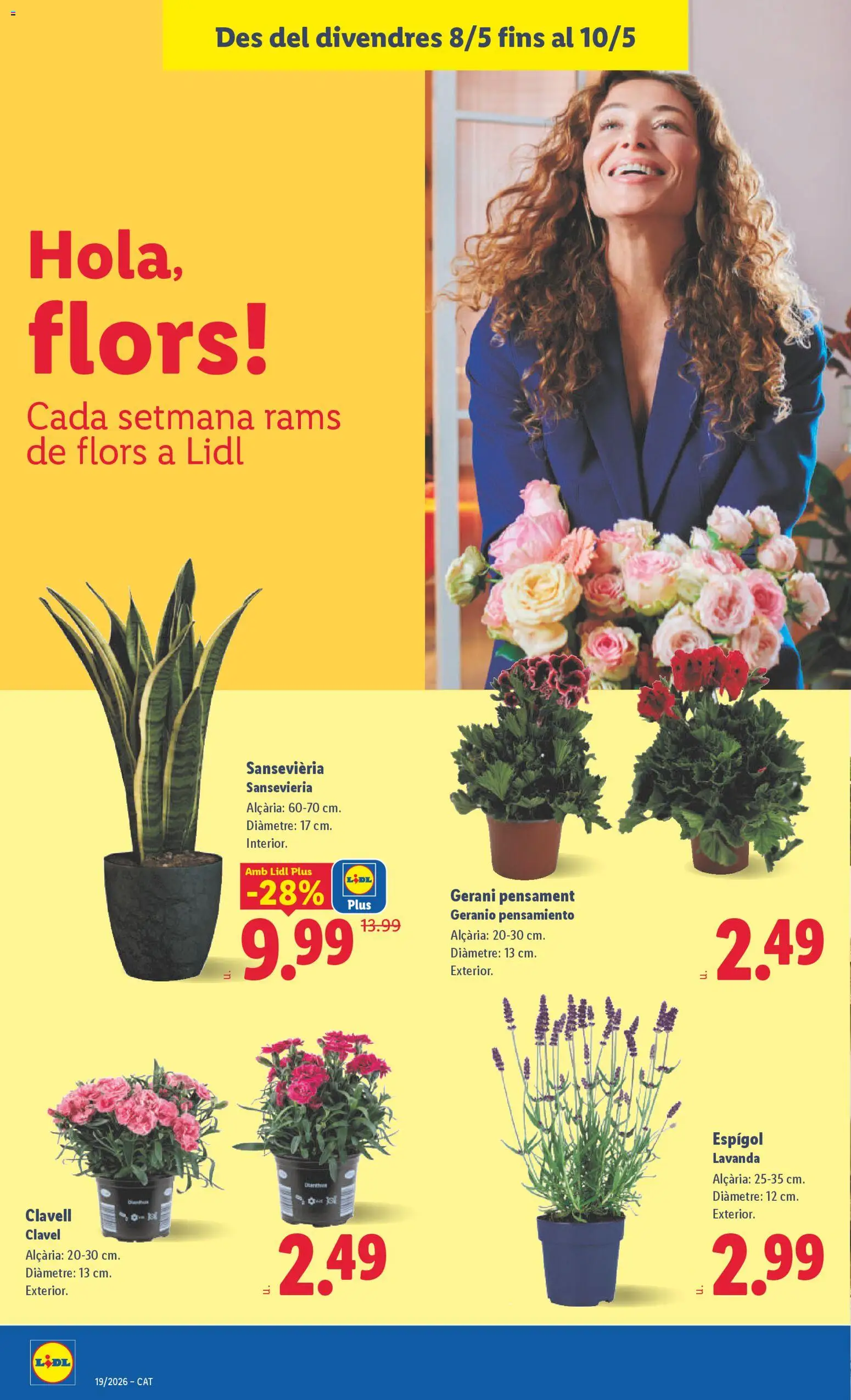 Lidl folleto │ válido desde el 04.05.2026 | Página: 50