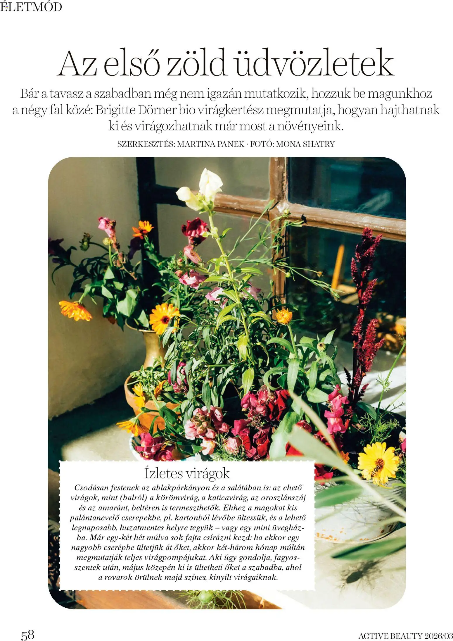 DM Drogerie Markt akciós ujság - amely érvényes a következő dátumtól: 26.03.2026 | Oldal: 58 | Termékek: Virágok, Üvegház