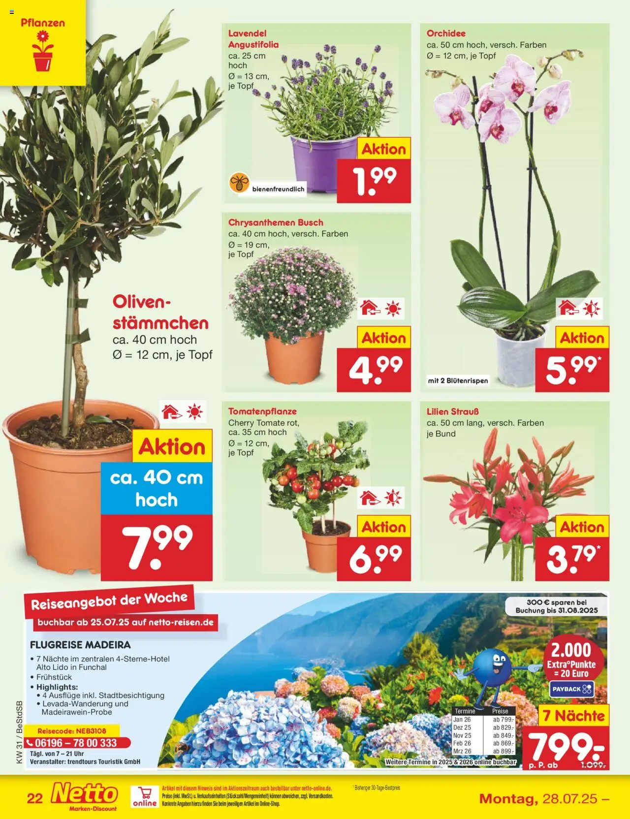 Netto Marken-Discount Prospekt 	 - gültig ab dem 28.07.2025 | Seite: 40 | Produkte: Orchidee, Lavendel, Uhr