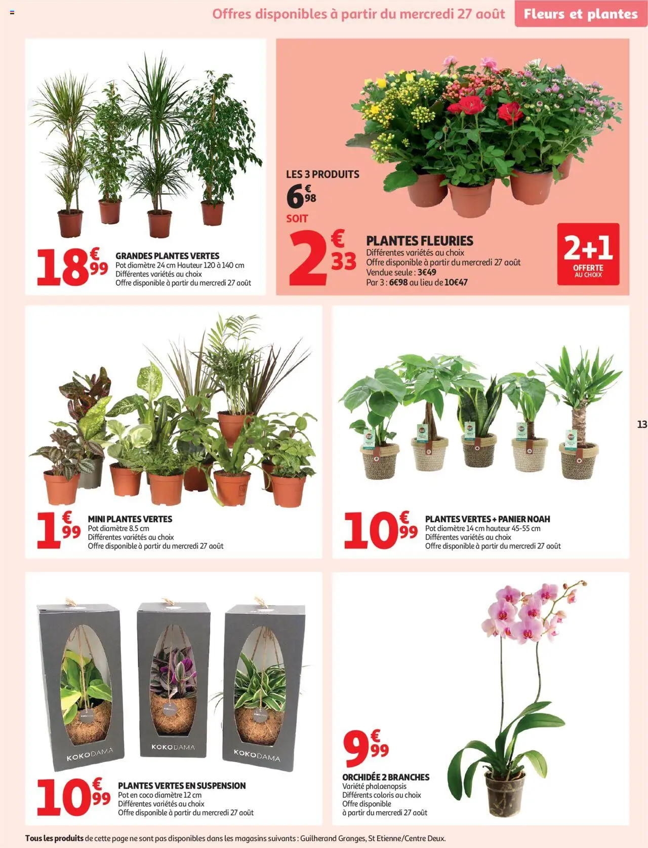  | Page: 13 | Produits: Fleurs et plantes, Suspension, Panier, Grandes plantes vertes