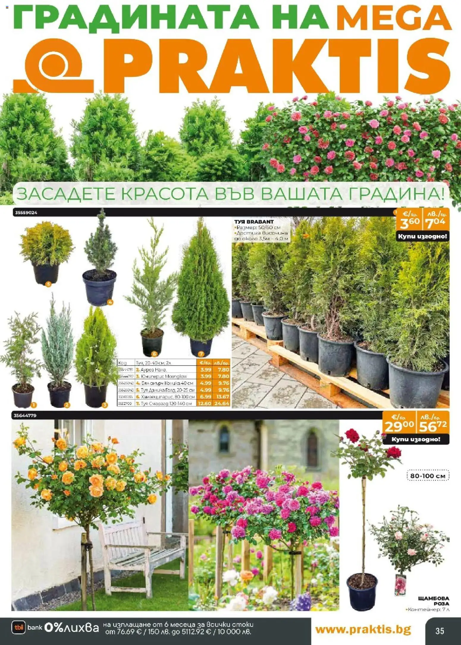 {H1} | Страница: 35 | Продукти: Vanília kivonat