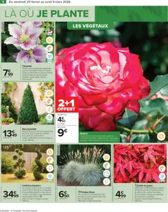Carrefour - Prévisualisation de Carrefour Jardin valide à partir de 20.02.2026 | Page: 8