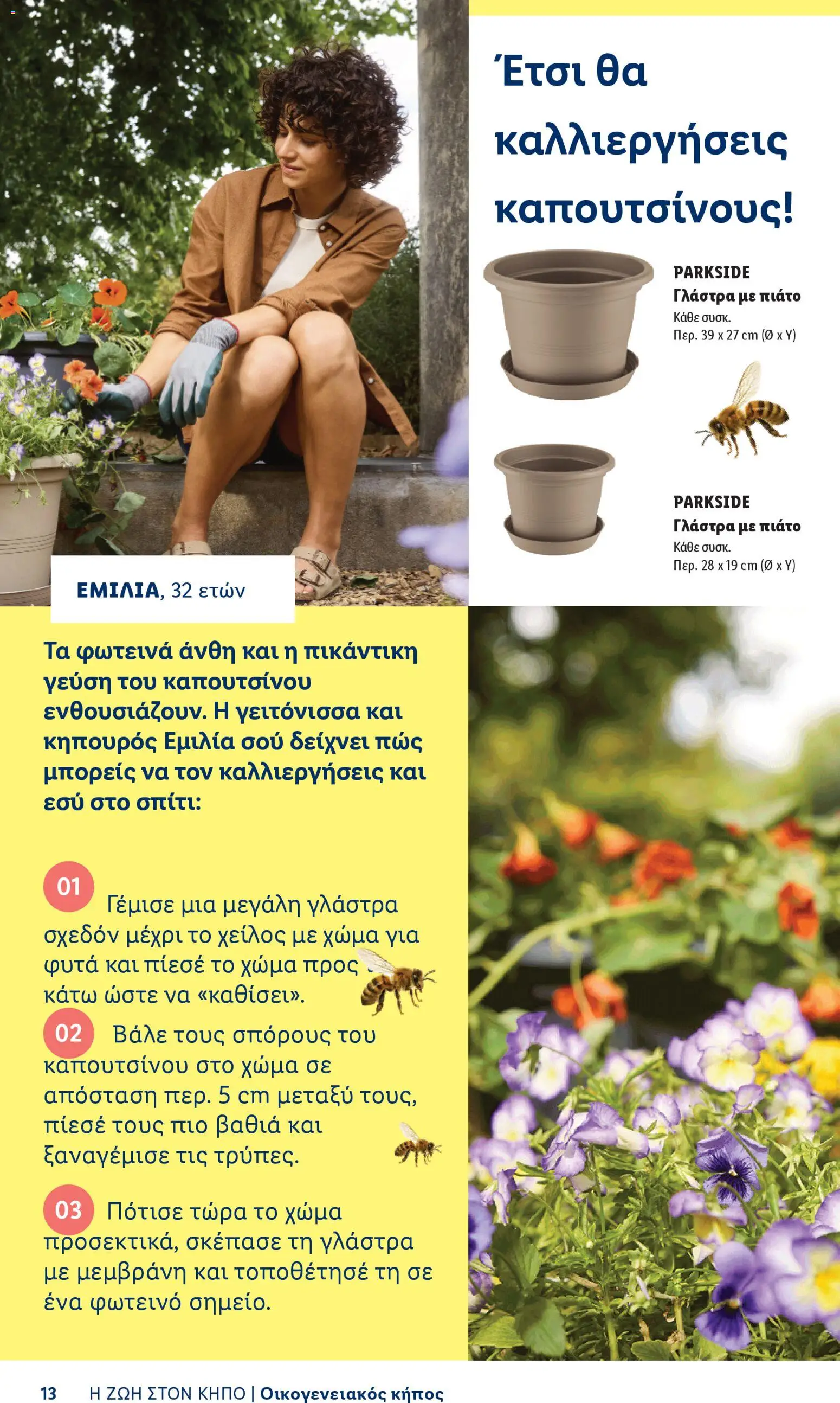  | Σελίδα: 13 | Προϊόντα: Πιάτο, Γλάστρα