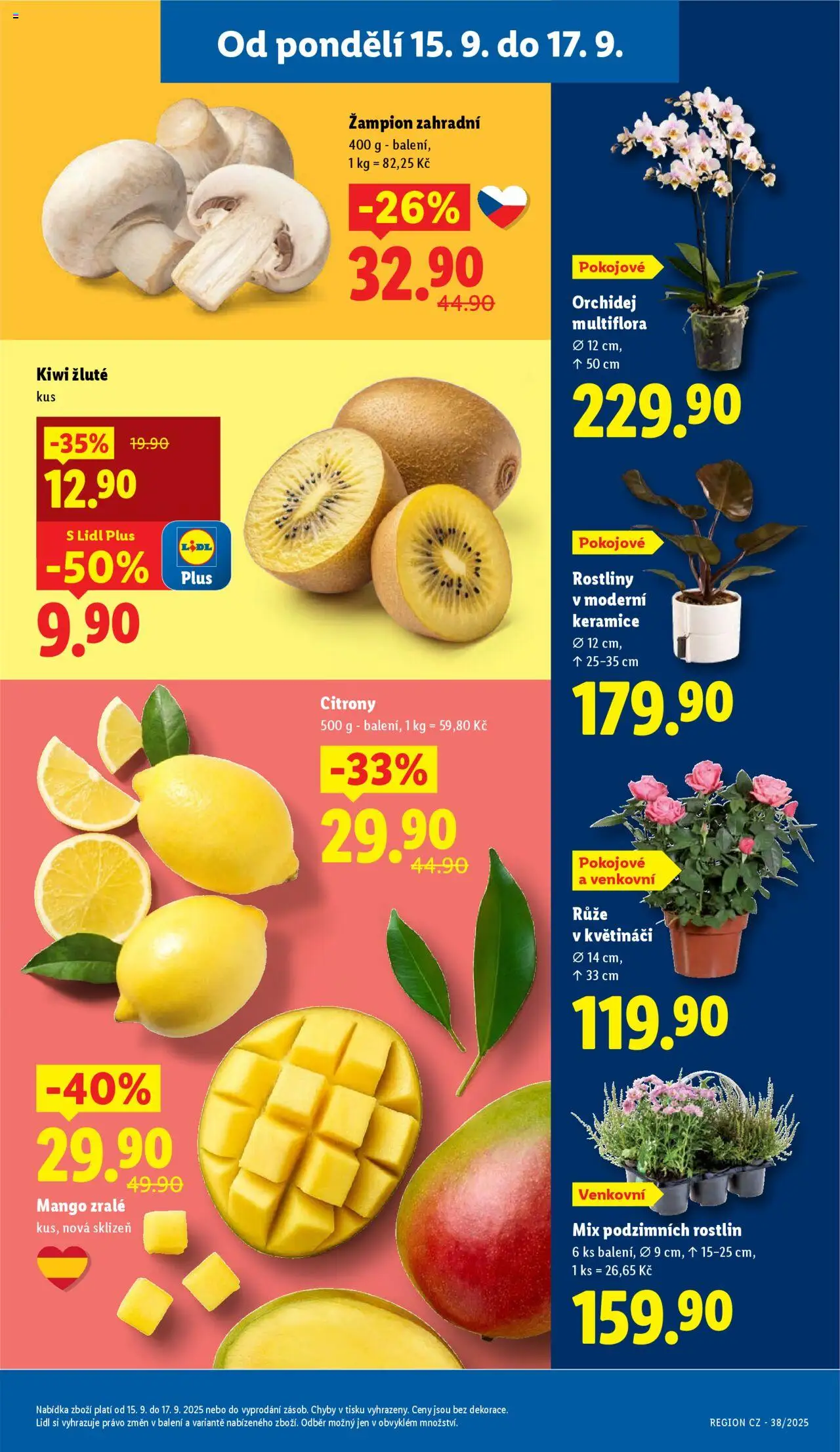 Lidl leták od 15.09.2025 | Strana: 11 | Produkty: Orchidej, Kiwi, Rostliny, Kiwi žluté