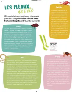  | Page: 24 | Produits: Peigne, Jouets, Chouchou, Mais