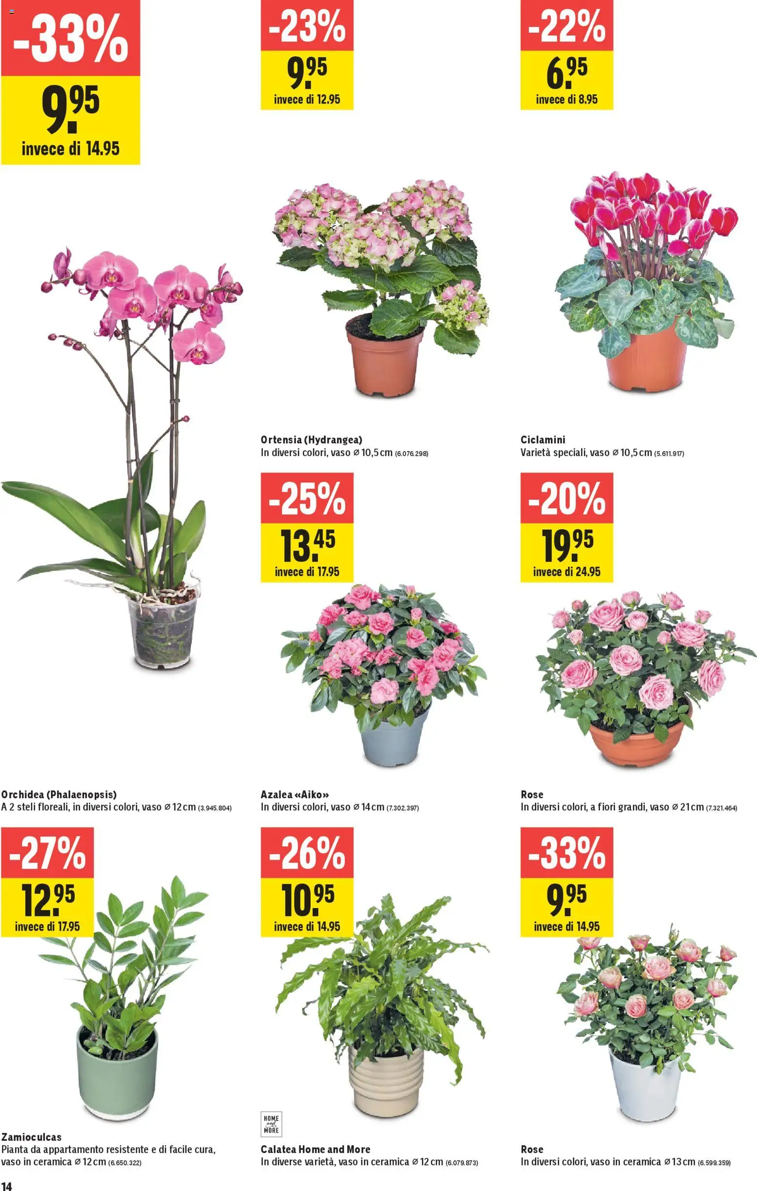 Jumbo Aktionen IT – gültig ab 12.02.2026 | Seite: 14