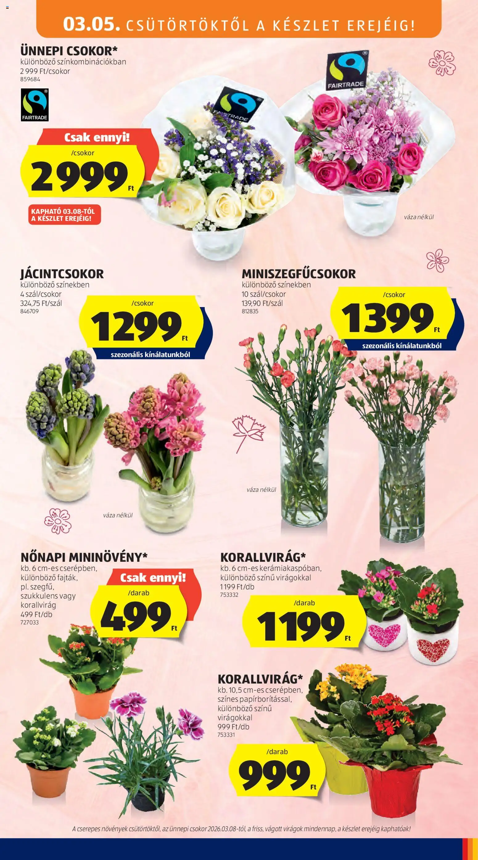 Aldi akciós ujság - amely érvényes a következő dátumtól: 05.03.2026 | Oldal: 49 | Termékek: Virágok, Váza