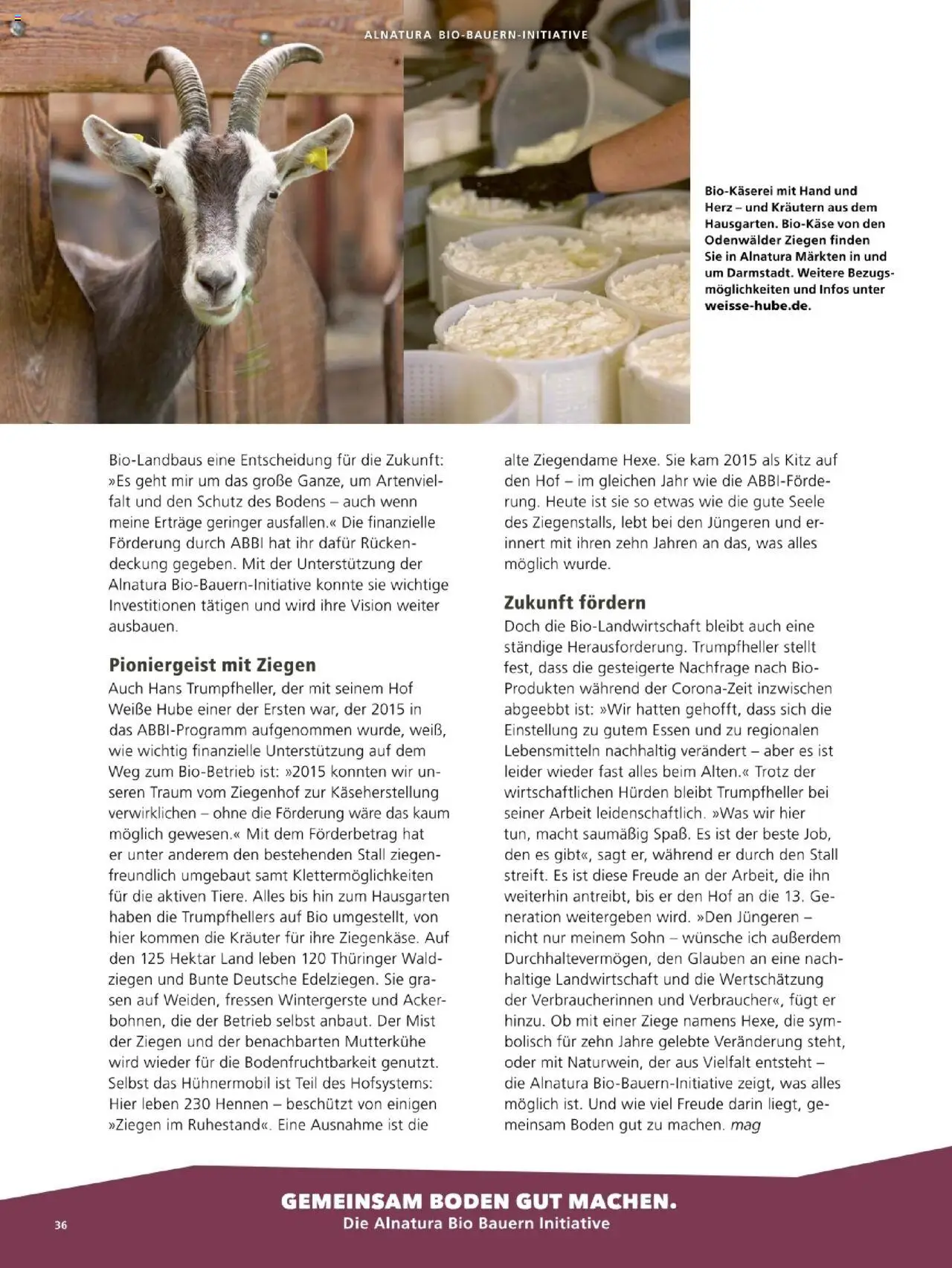 Alnatura Prospekt – gültig ab 01.10.2025 | Seite: 36