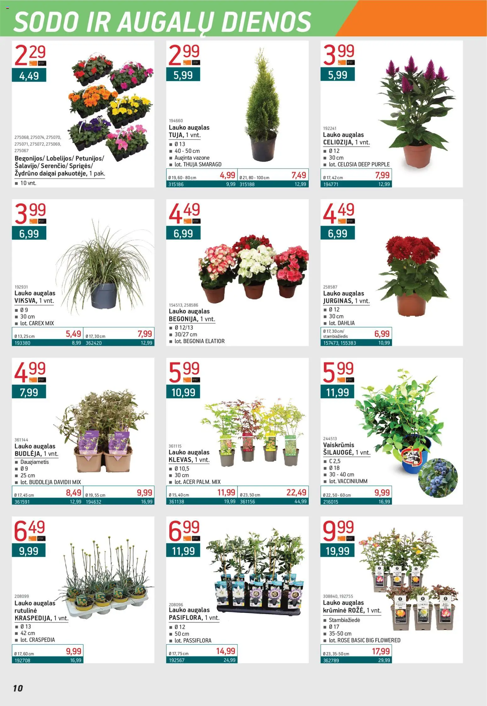 ERMITAŽAS akcijos nuo 04.05.2026 | Puslapis: 10