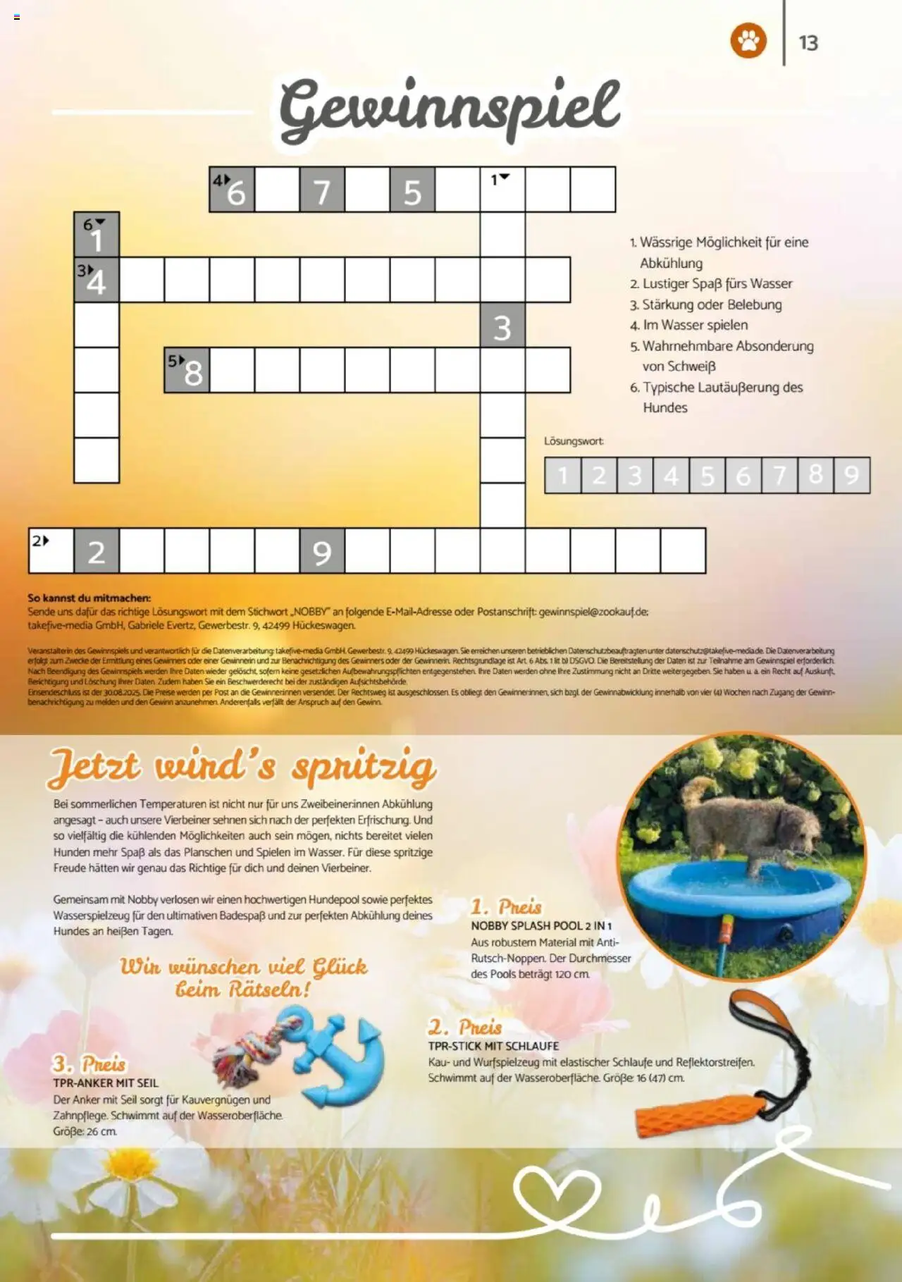 zookauf  Heimtier Journal - gültig ab dem 21.07.2025 | Seite: 13 | Produkte: Wasser