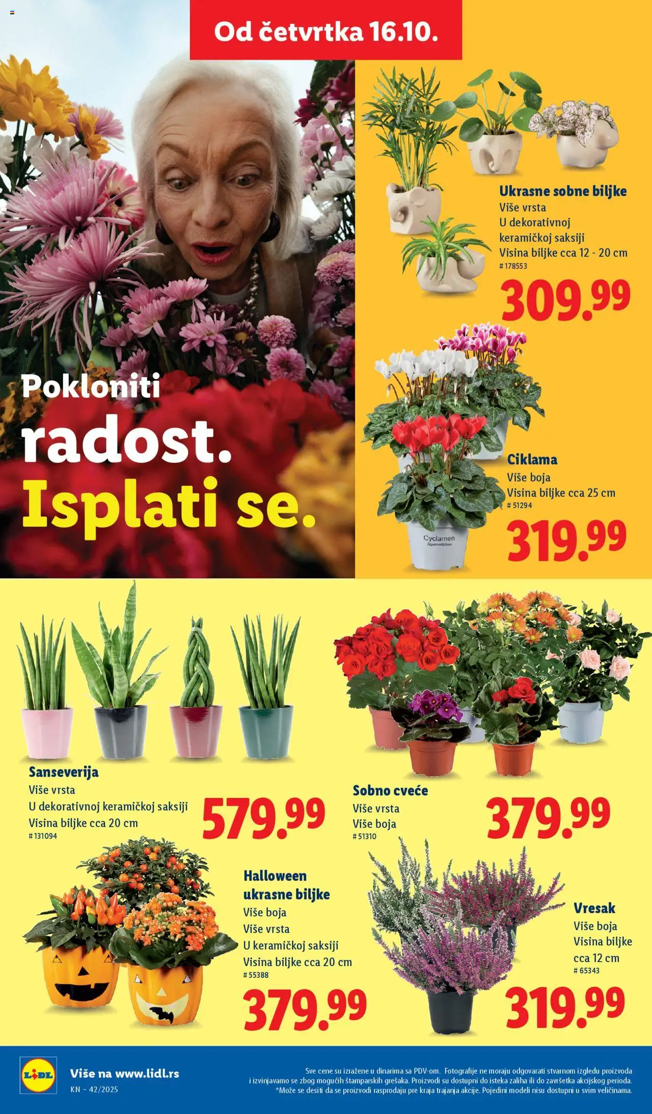 Lidl katalog - važi od 16.10.2025 | Strana: 48 | Proizvode: Sobne biljke, Cvece