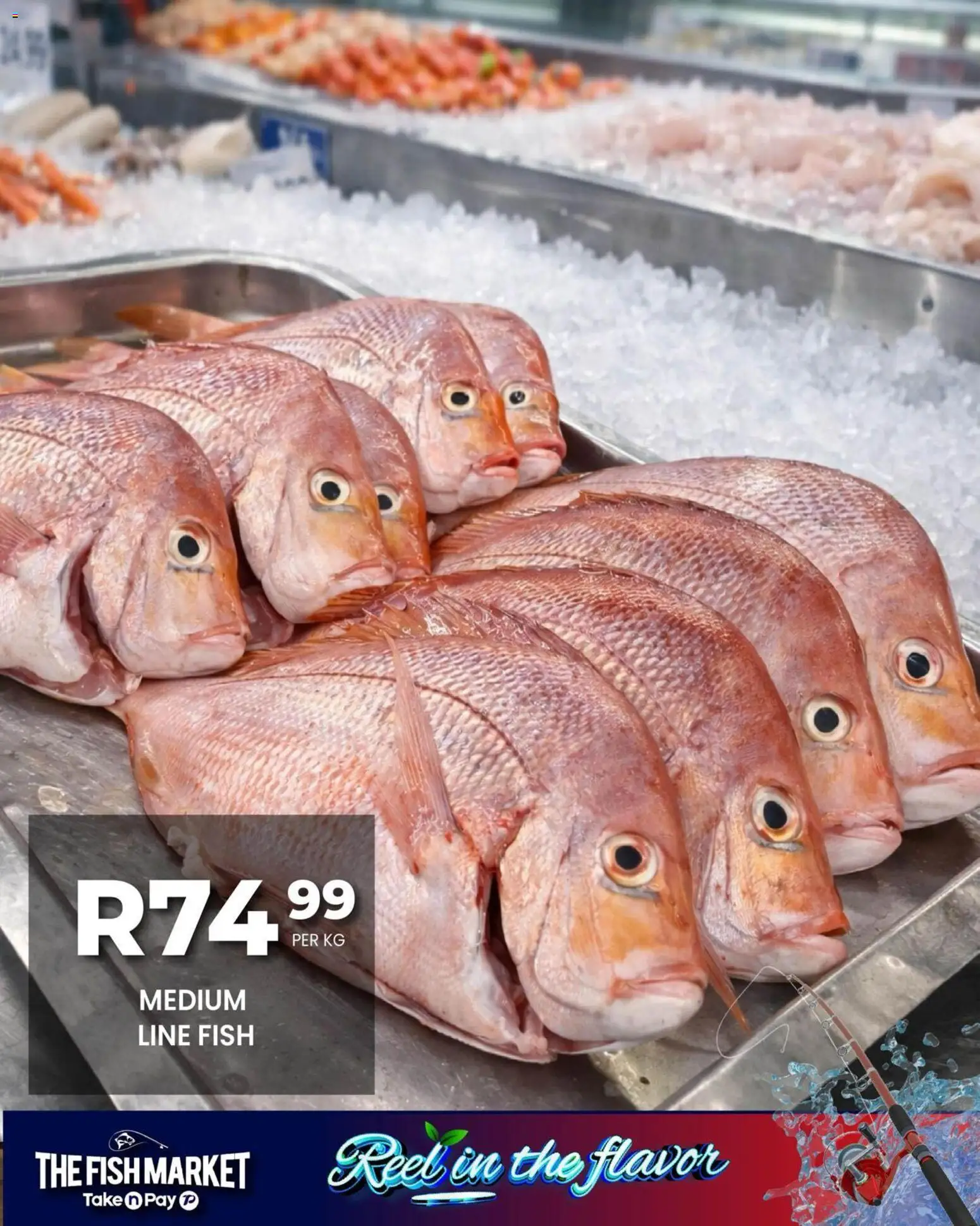 New Take n Pay catalogue – valid from 06.02.2026 | Page: 13