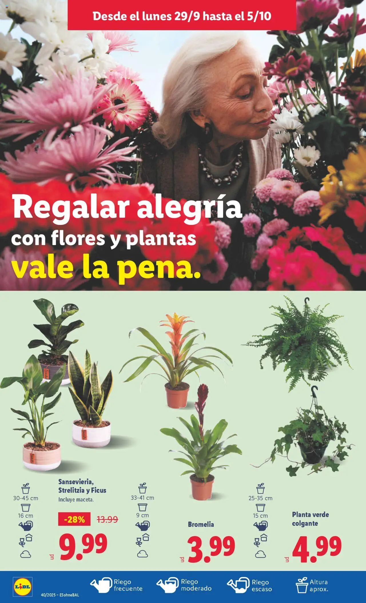 Lidl folleto │ válido desde el 29.09.2025 | Página: 28