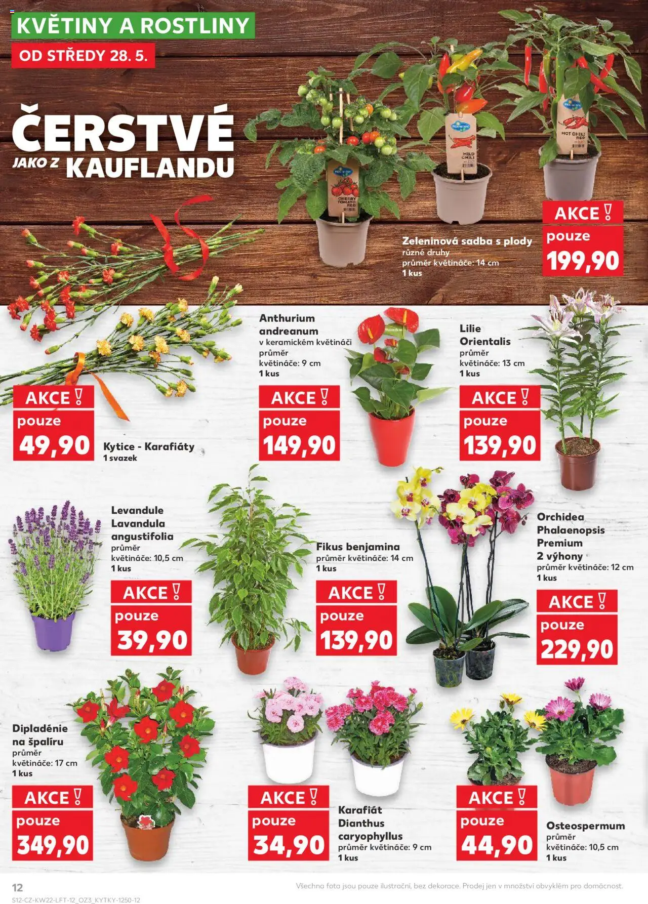 Kaufland leták - Praha 4 od 28.05.2025 | Strana: 12 | Produkty: Květináče, Rostliny, Kytice, Květiny