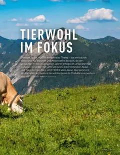 Hofer AT - Einfach Kochen Frühling/Sommer 2025 - amely érvényes a következő dátumtól: 04.09.2025 | Oldal: 63 | Termékek: Bulgur, Só