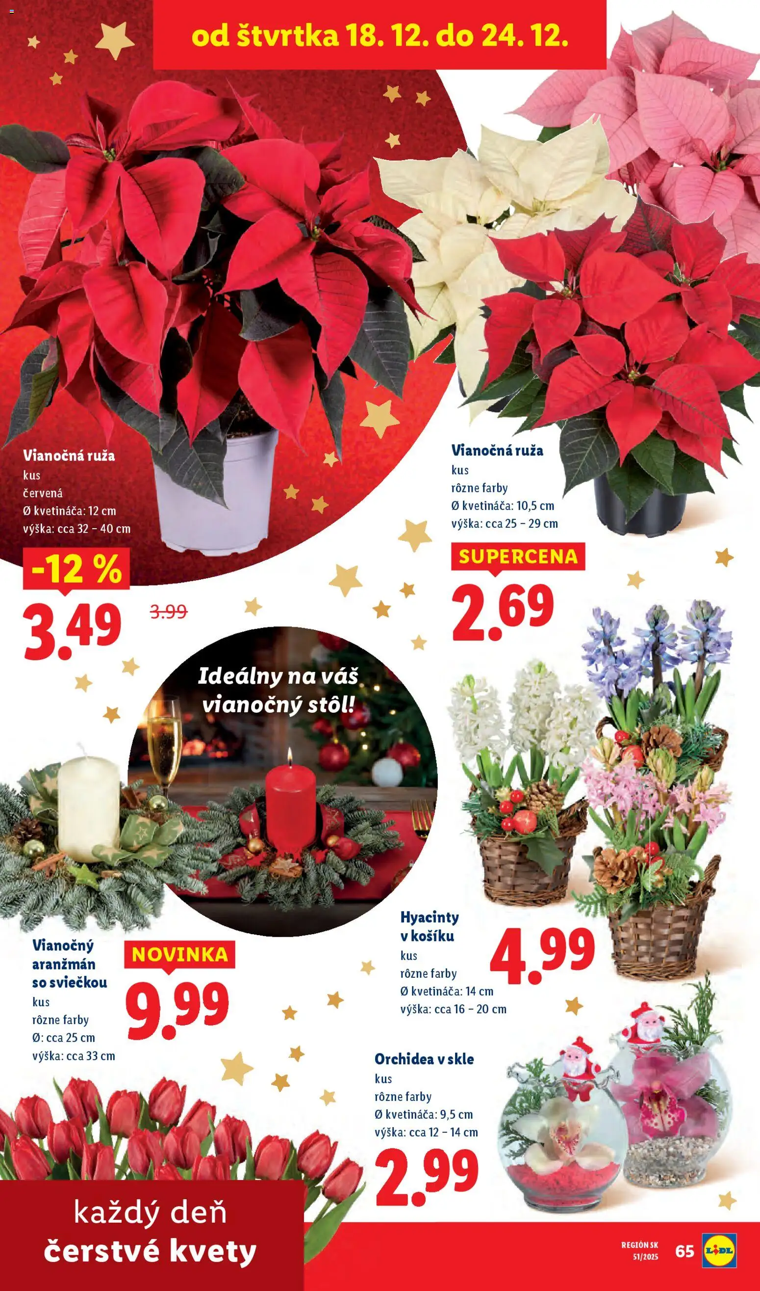 Nové Lidl akcie – leták je platný od 15.12.2025 | Strana: 86 | Produkty: Stôl, Kvety, Orchidea