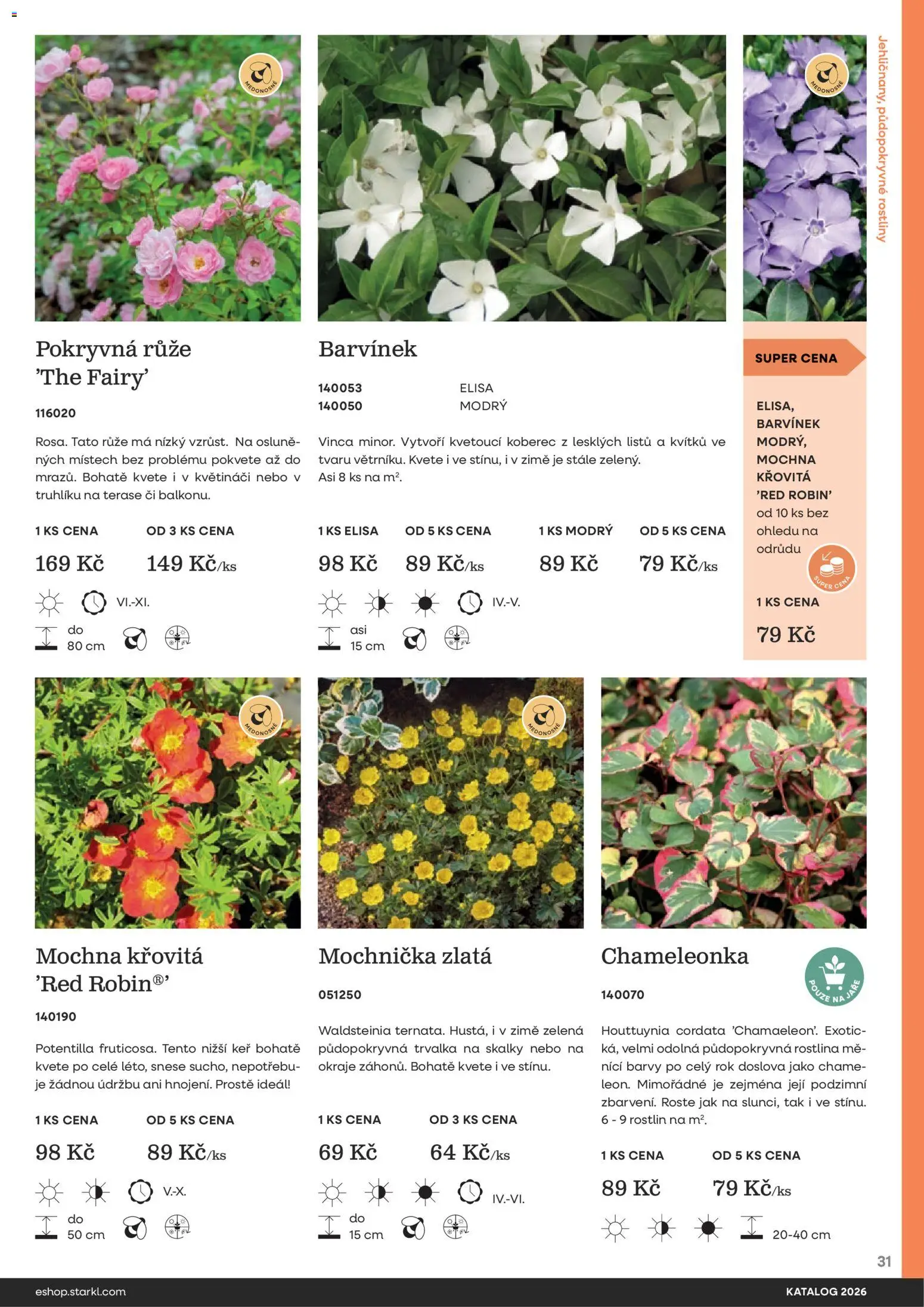 Starkl katalog od 25.02.2026 | Strana: 31 | Produkty: Rostliny, Koberec, Barvy