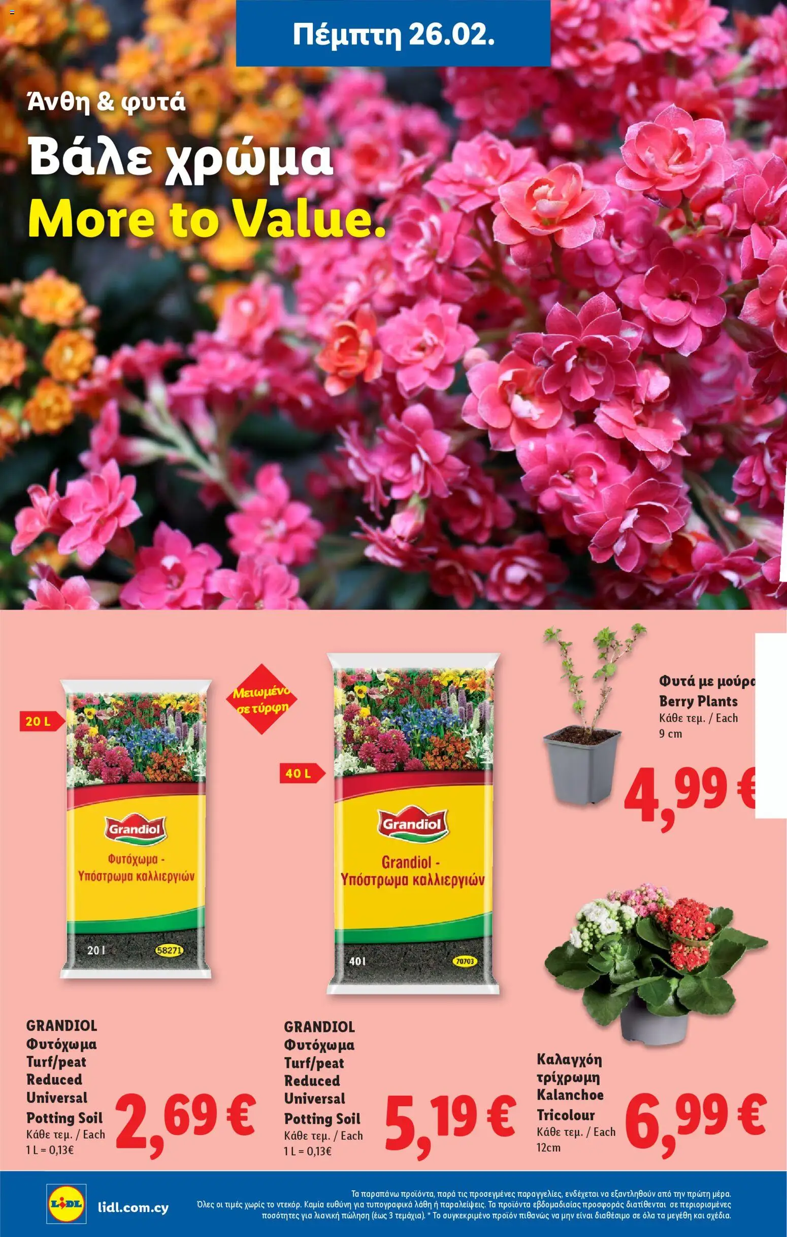 Lidl - Φυλλάδιο – σε ισχύ από 26.02.2026 | Σελίδα: 46