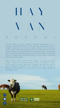 23.09.2025 tarihinden itibaren geçerli olan Metro kataloğu önizlemesi | Sayfa: 19