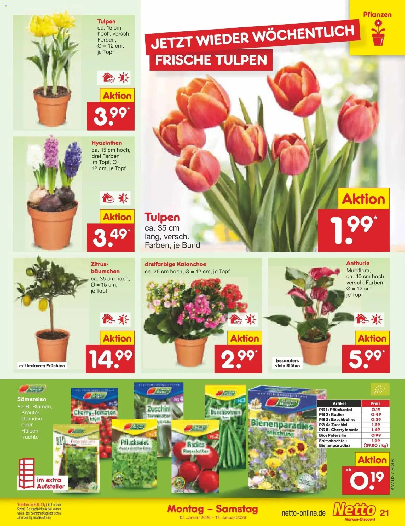 Netto Marken-Discount prospekt Nordhausen	 – gültig ab 12.01.2026 | Seite: 25 | Produkte: Gemüse, Petersilie, Zucchini