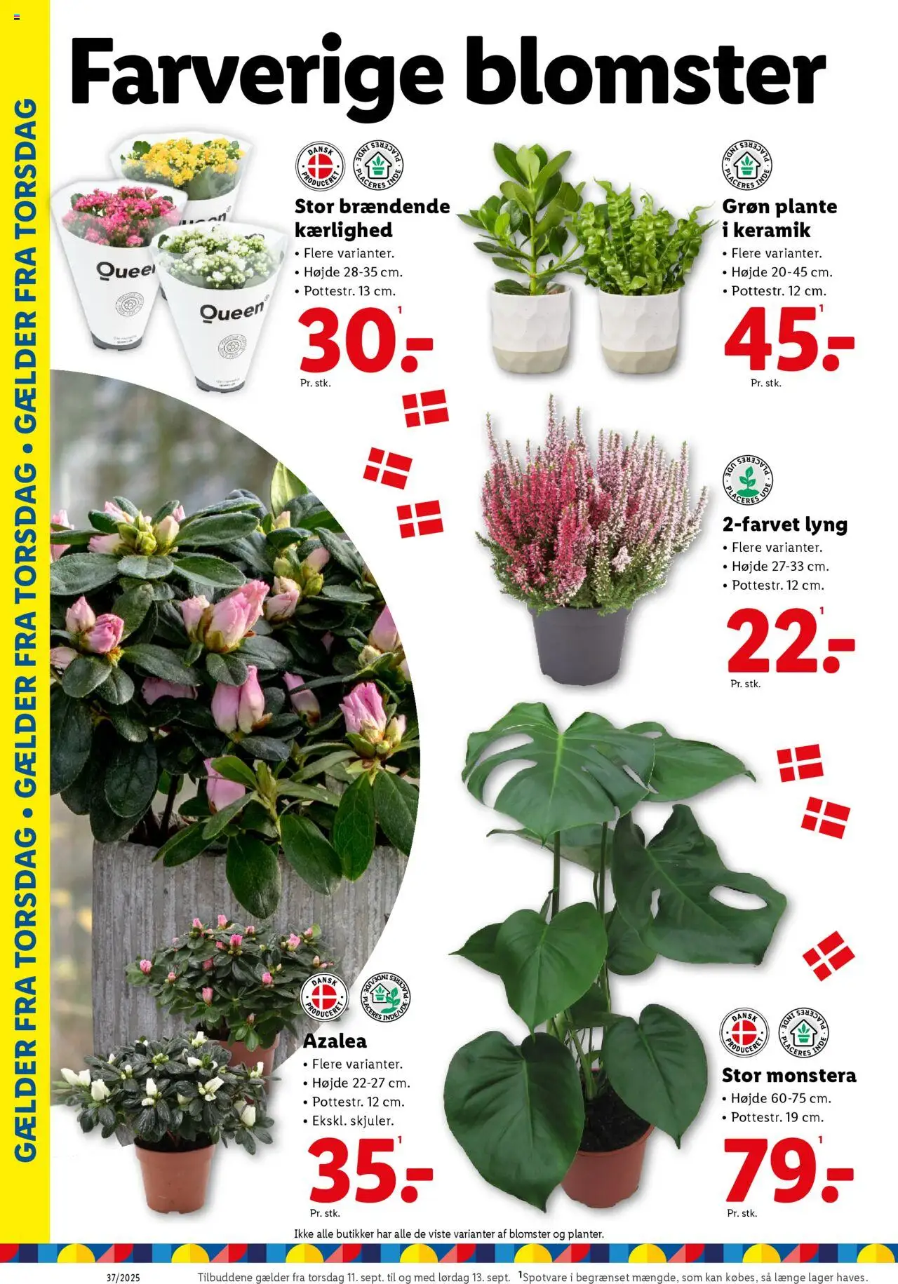 Lidl tilbudsavis – gyldig fra 11.09.2025 | Side: 12 | Produkter: Søm