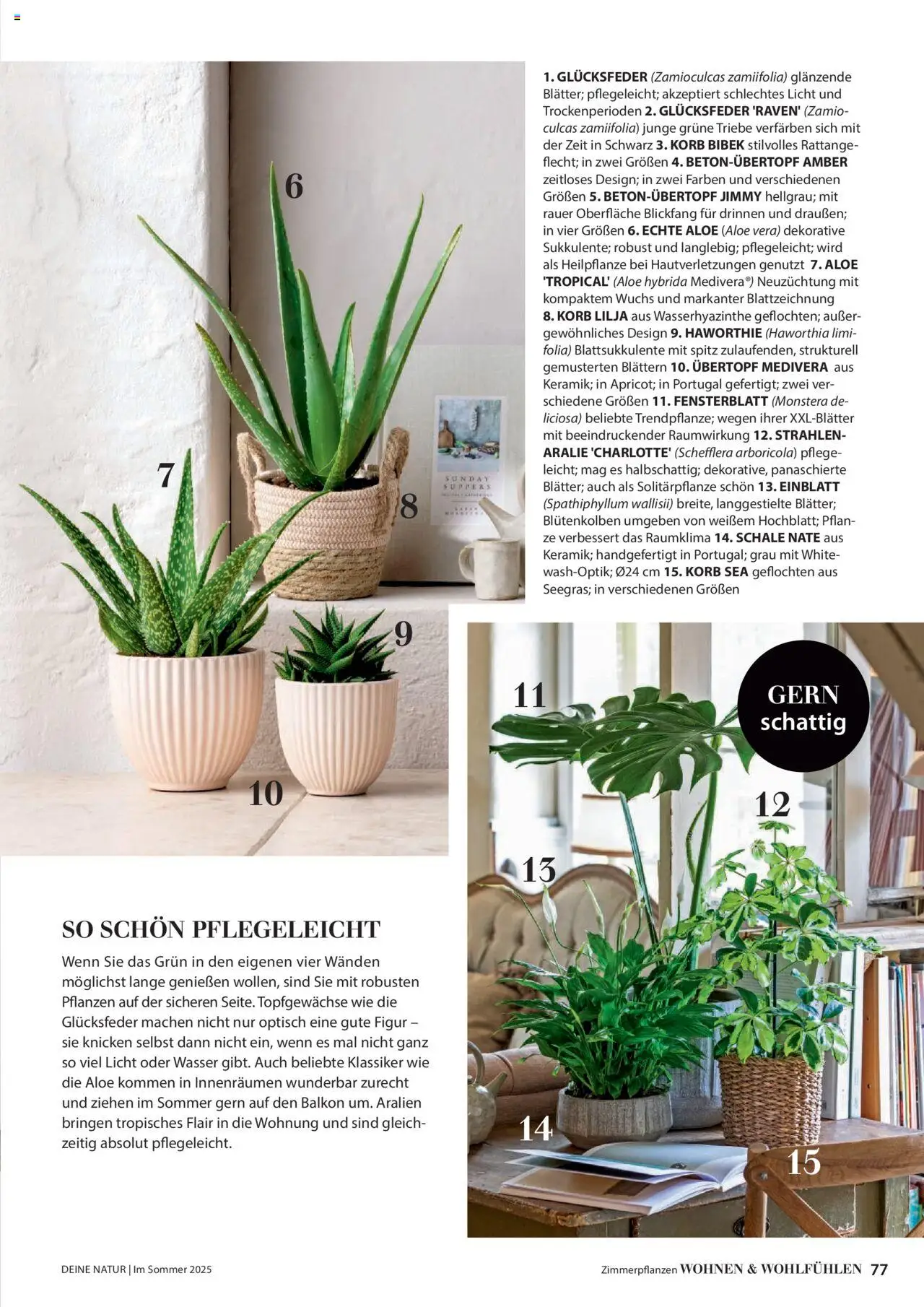 Dehner Flugblatt gültig ab 17.04.2025 | Seite: 77 | Produkte: Wasser, Korb