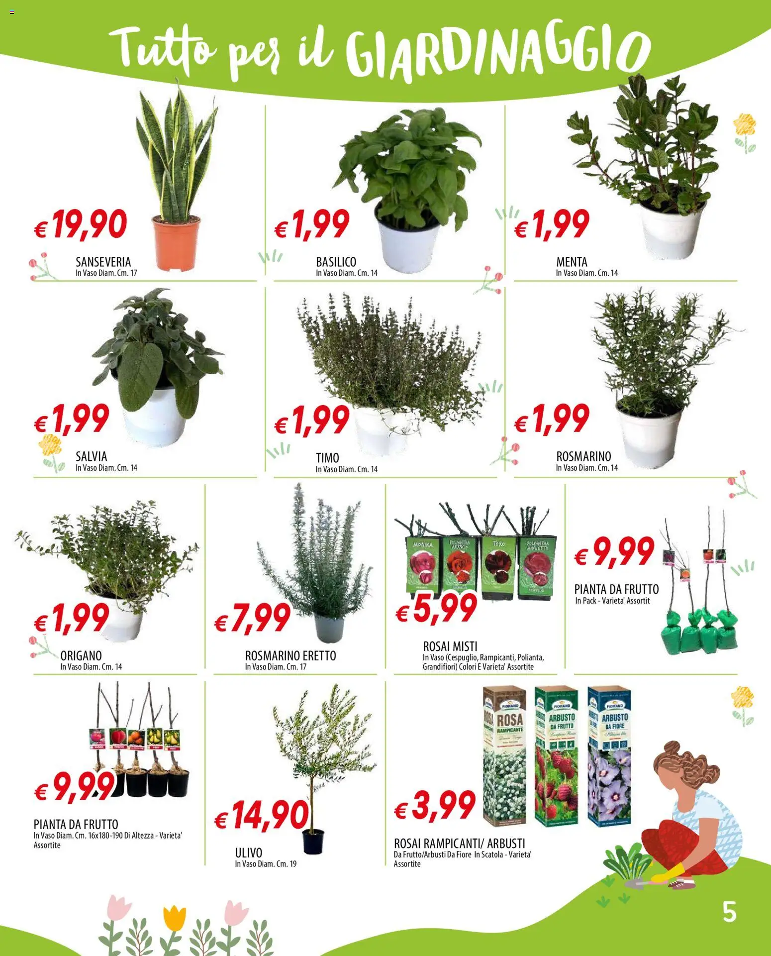 Volantino Famila del 12.03.2026 | Pagina: 5 | Prodotti: Rosmarino, Basilico, Menta, Scatola