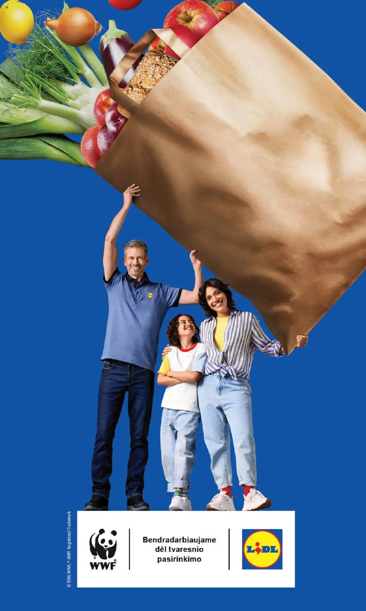 LIDL - Leidinys│galioja nuo 11.08.2025 | Puslapis: 41