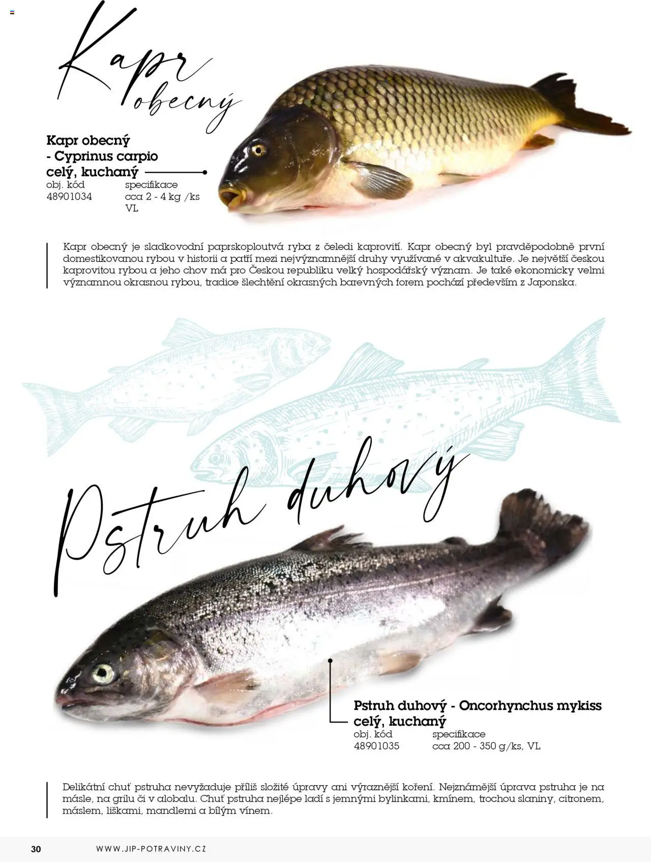 Jip katalog ryby 2024/25 od 30.12.2024 | Strana: 30 | Produkty: Ryba, Pstruh, Kapr