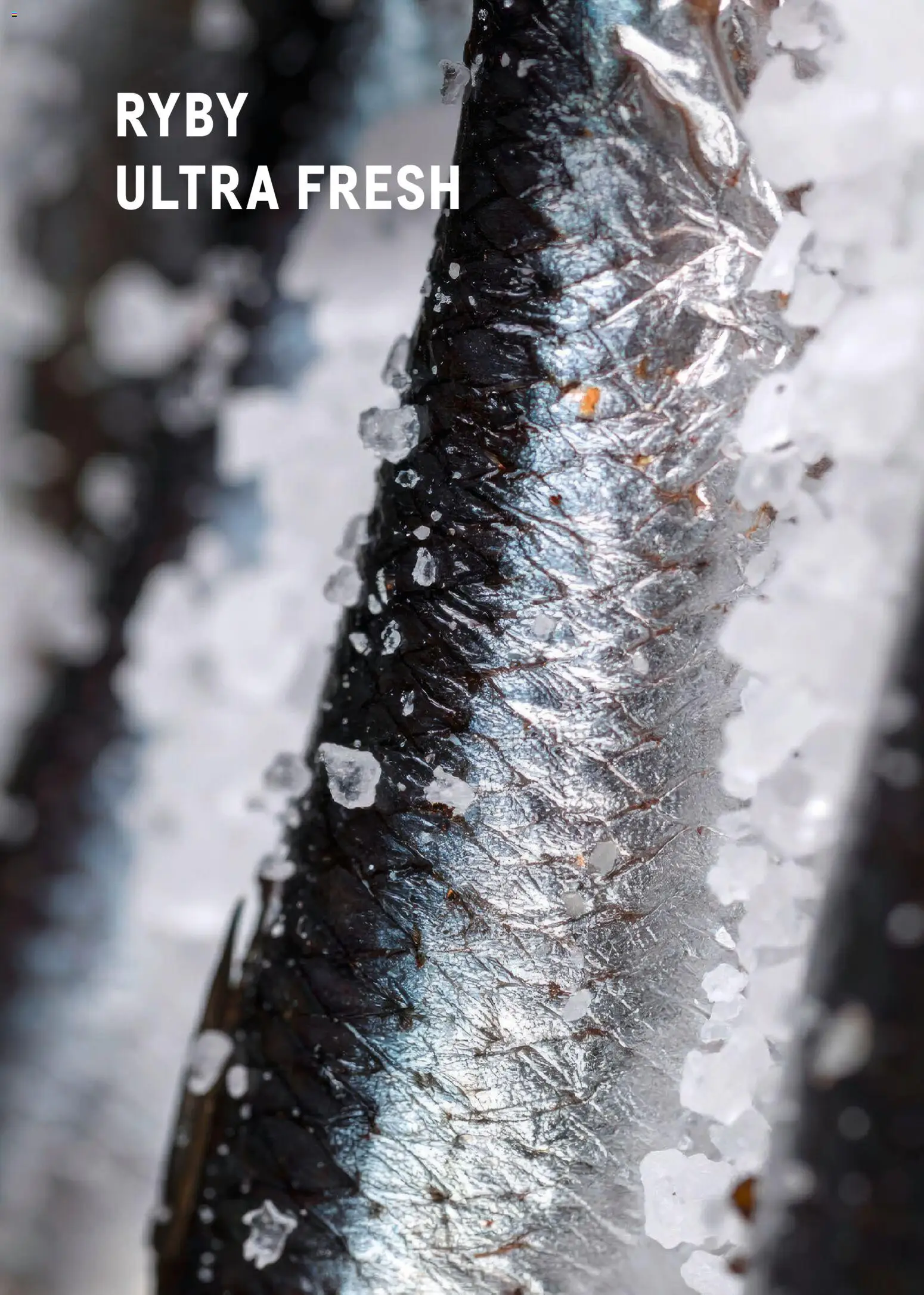 Makro Gazetka - Ultra fresh od 01.03.2026 | Strona: 64 | Produkty: Ryby