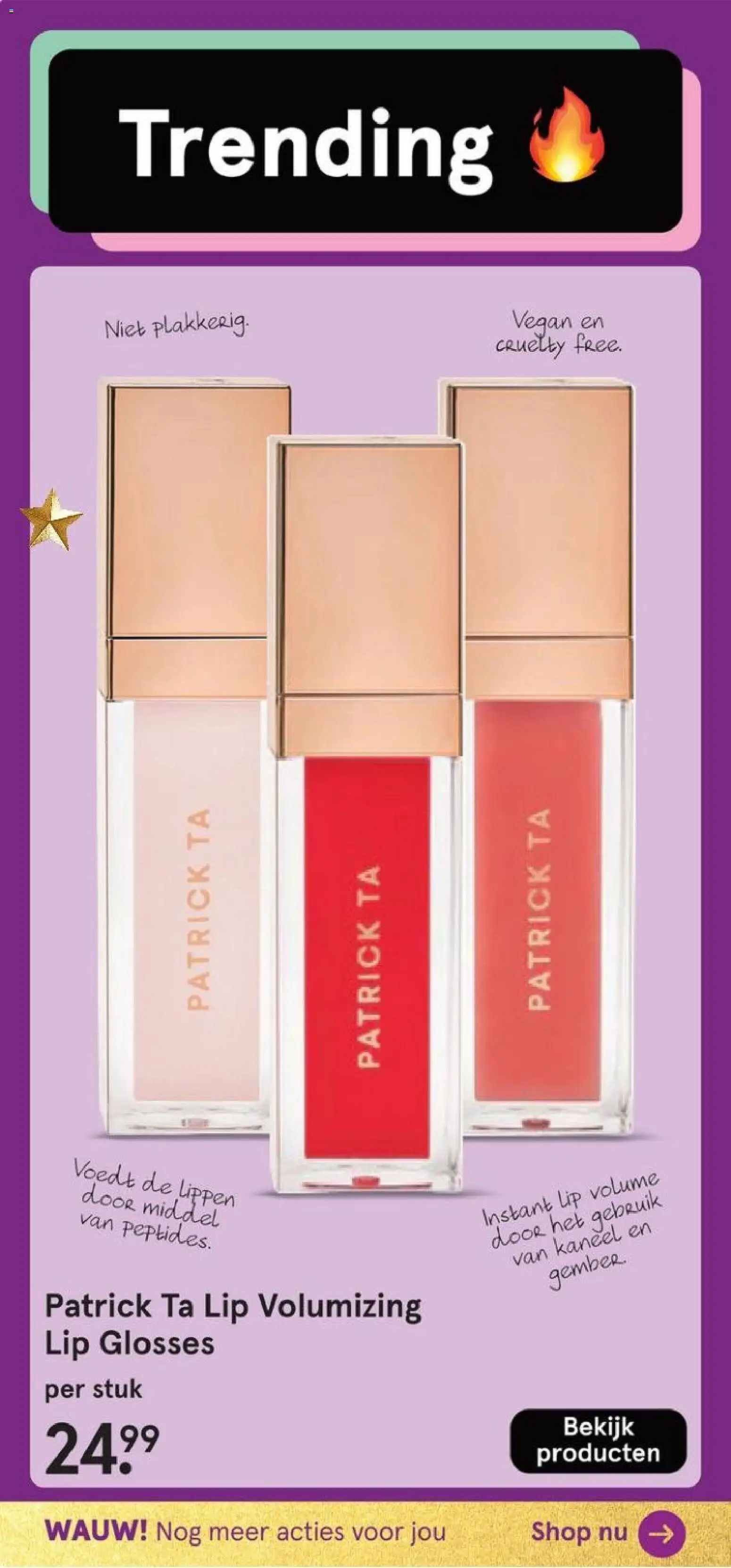 {H1} | Pagina: 78 | Producten: Kaneel