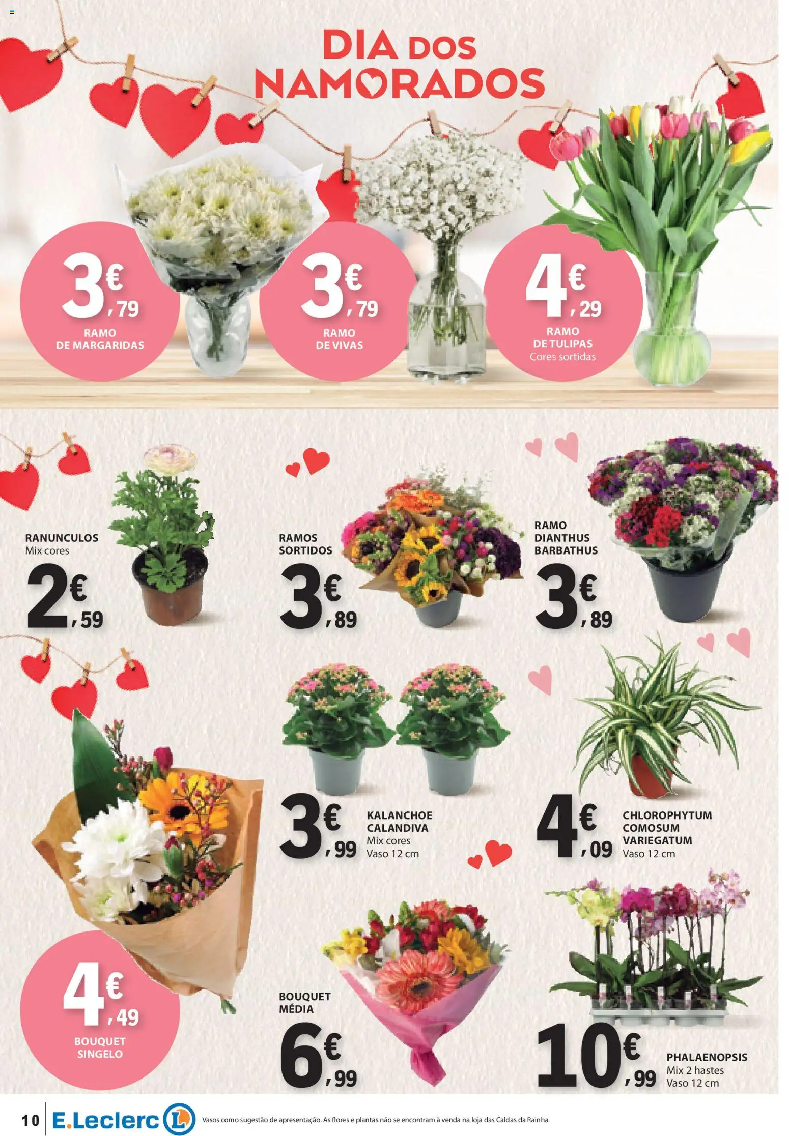 E.Leclerc Não Alimentar │ válido de 12.02.2026 | Página: 10 | Produtos: Flores, Vaso