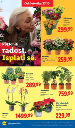 Lidl katalog - pregled Lidl kataloga - važi od 23.10.2025 | Strana: 60