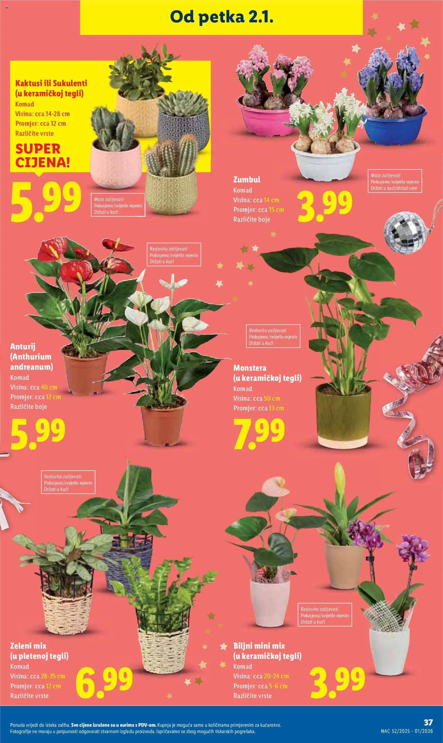 Lidl katalog | vrijedi od 27.12.2025 | Stranica: 37