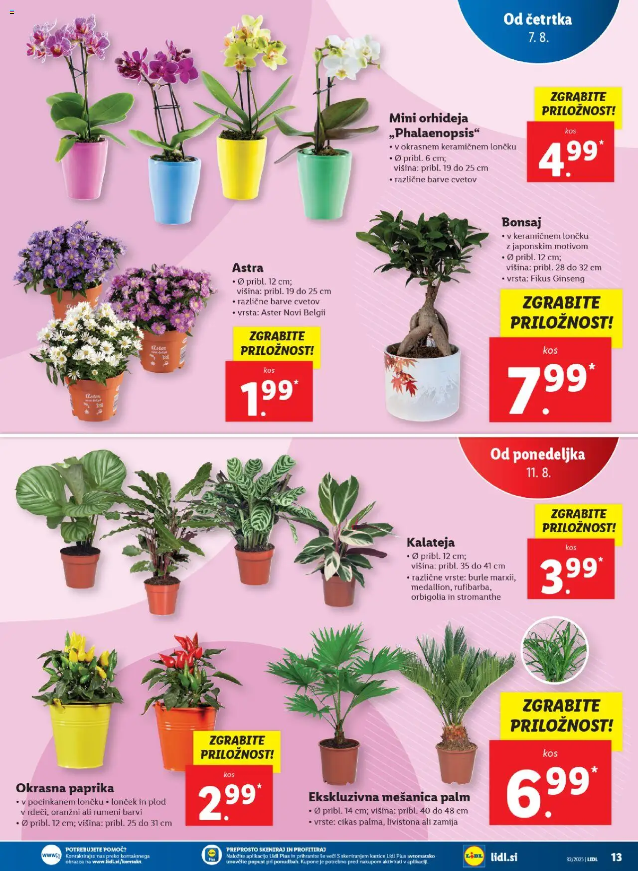Lidl katalog │ velja od 07.08.2025 | Stran: 31 | Izdelki: Paprika