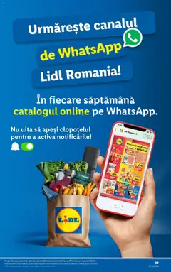 Catalog Lidl – valabil de la 21.07.2025 | Pagină: 69 | Produse: Struguri, Bere, Biscuiți, Gouda