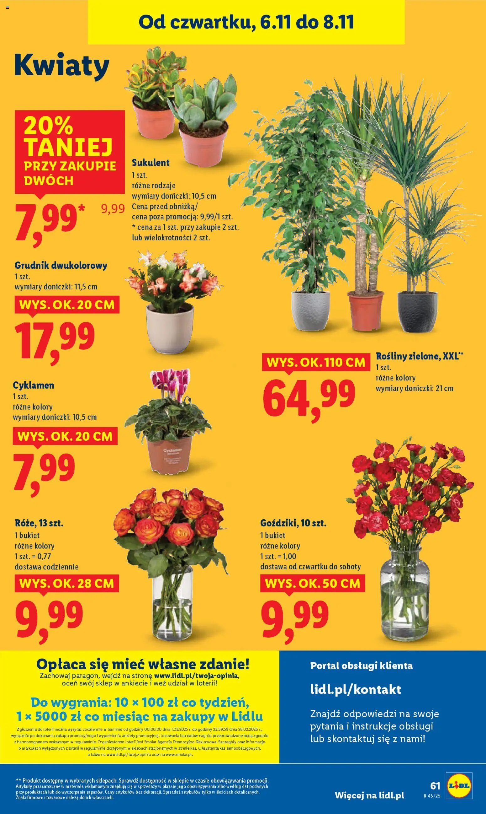 Lidl Gazetka od 06.11.2025 | Strona: 70 | Produkty: Rosliny, Doniczki, Kwiaty
