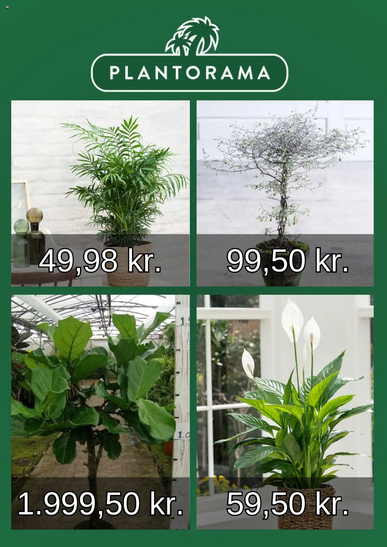 Plantorama Tilbudsavis gyldig fra 10.08.2025 | Side: 4